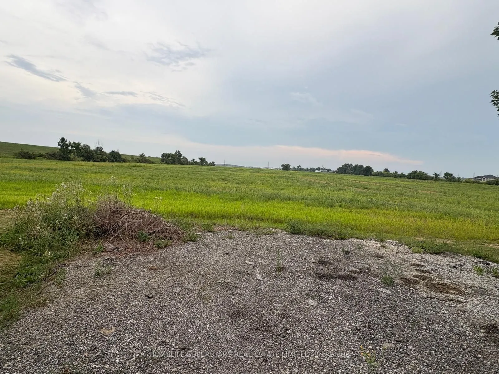 241 County Rd  42