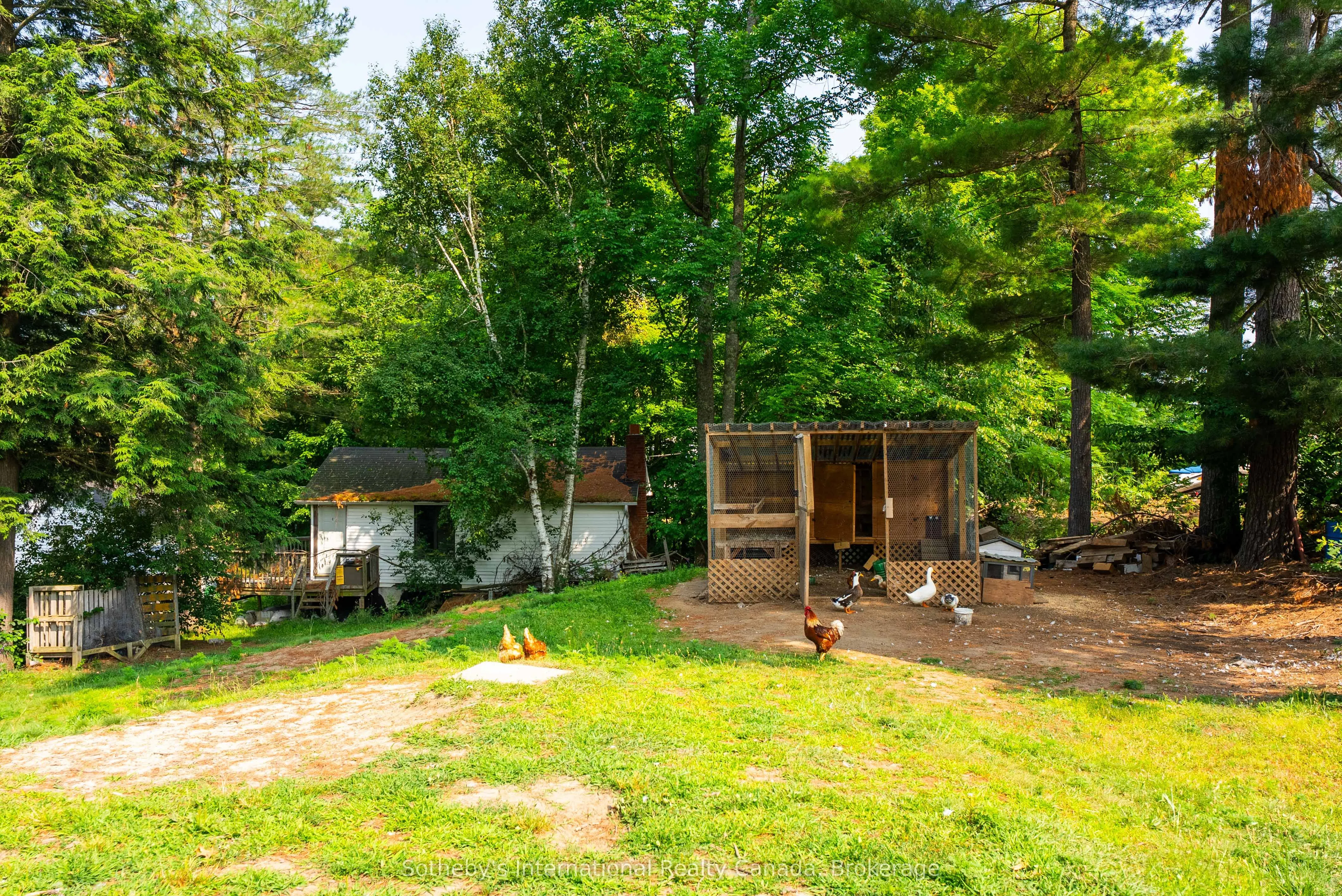 4019 Muskoka 169 Road