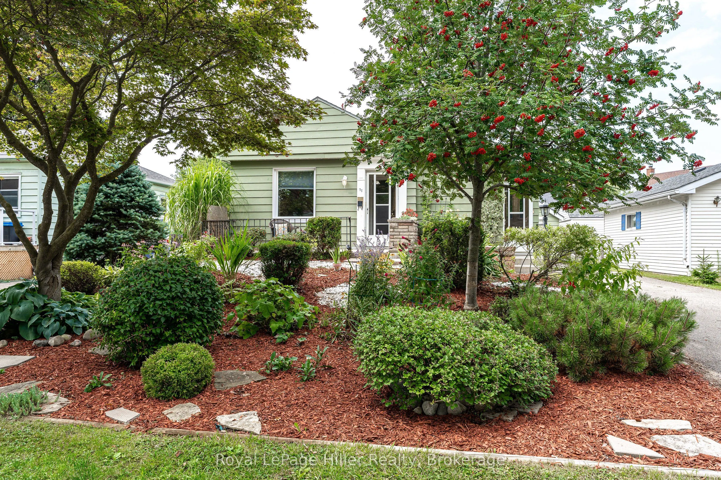 71 Coriano Street