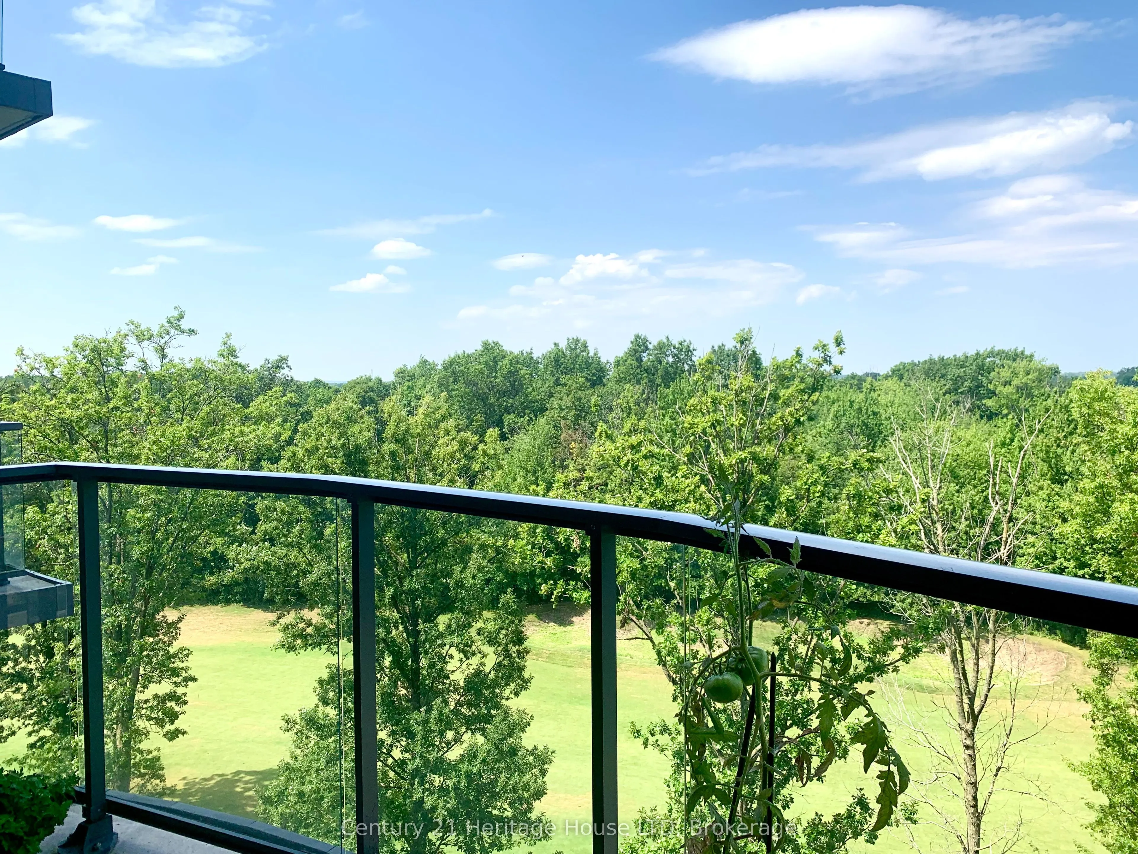 7711 Green Vista Gate, #716
