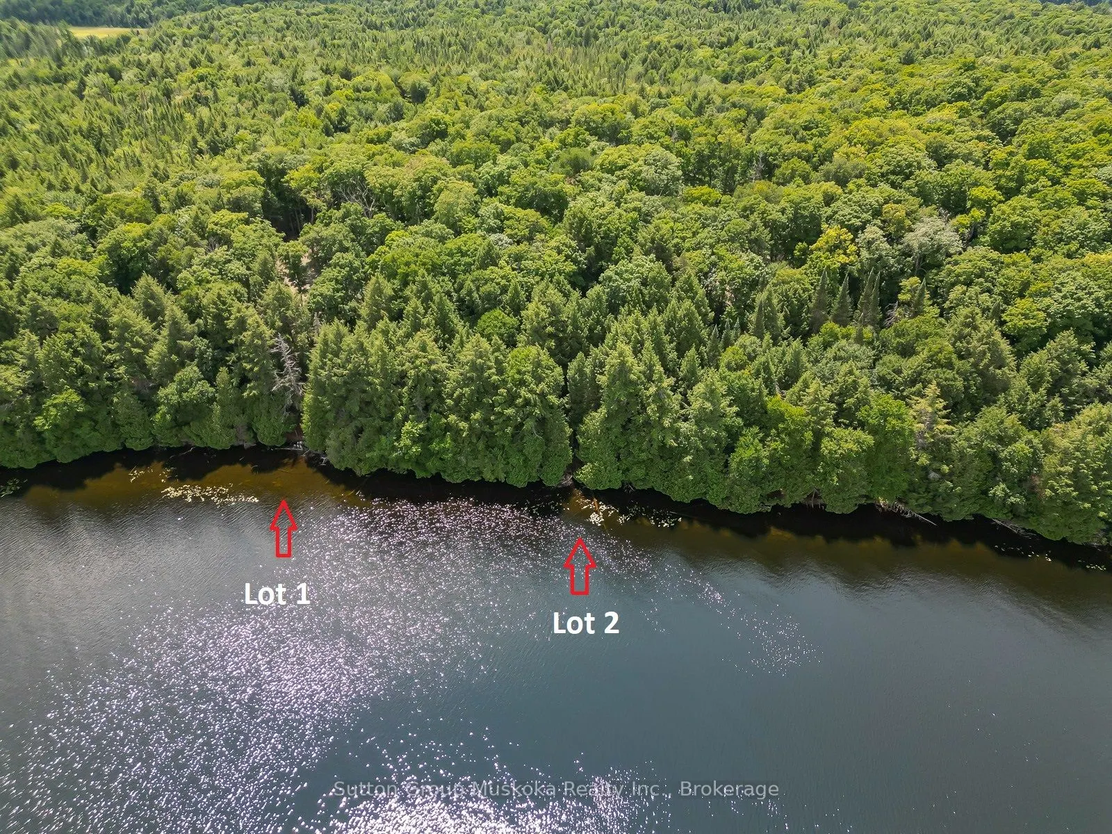 LOT 1 ESIG Lane
