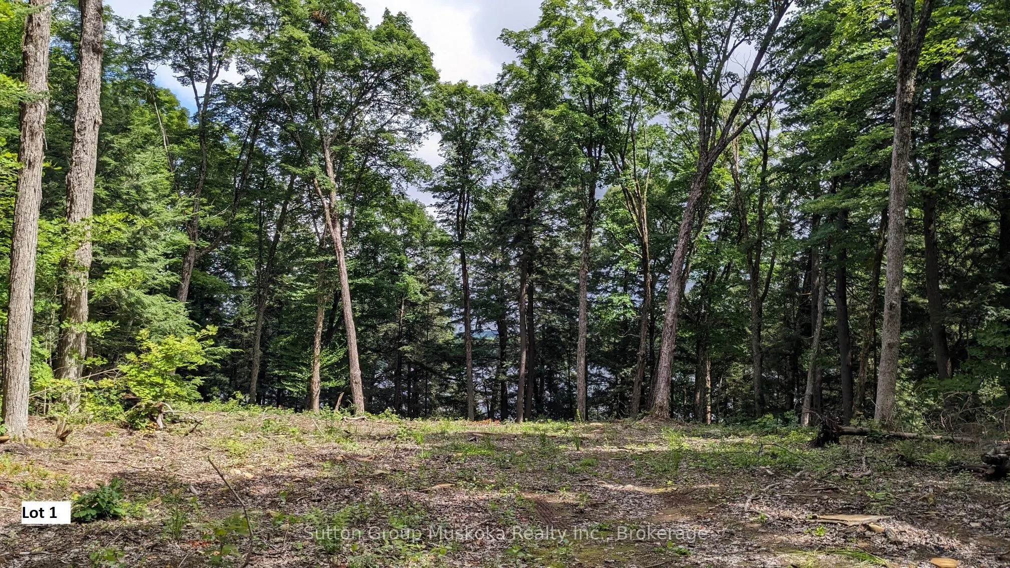 LOT 1 ESIG Lane