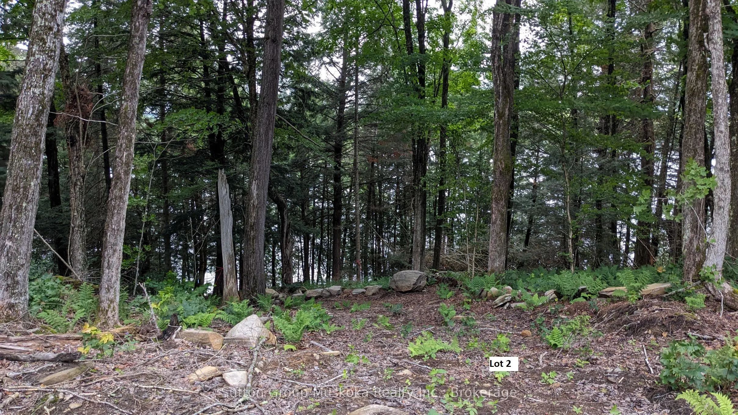 LOT 2 ESIG Lane