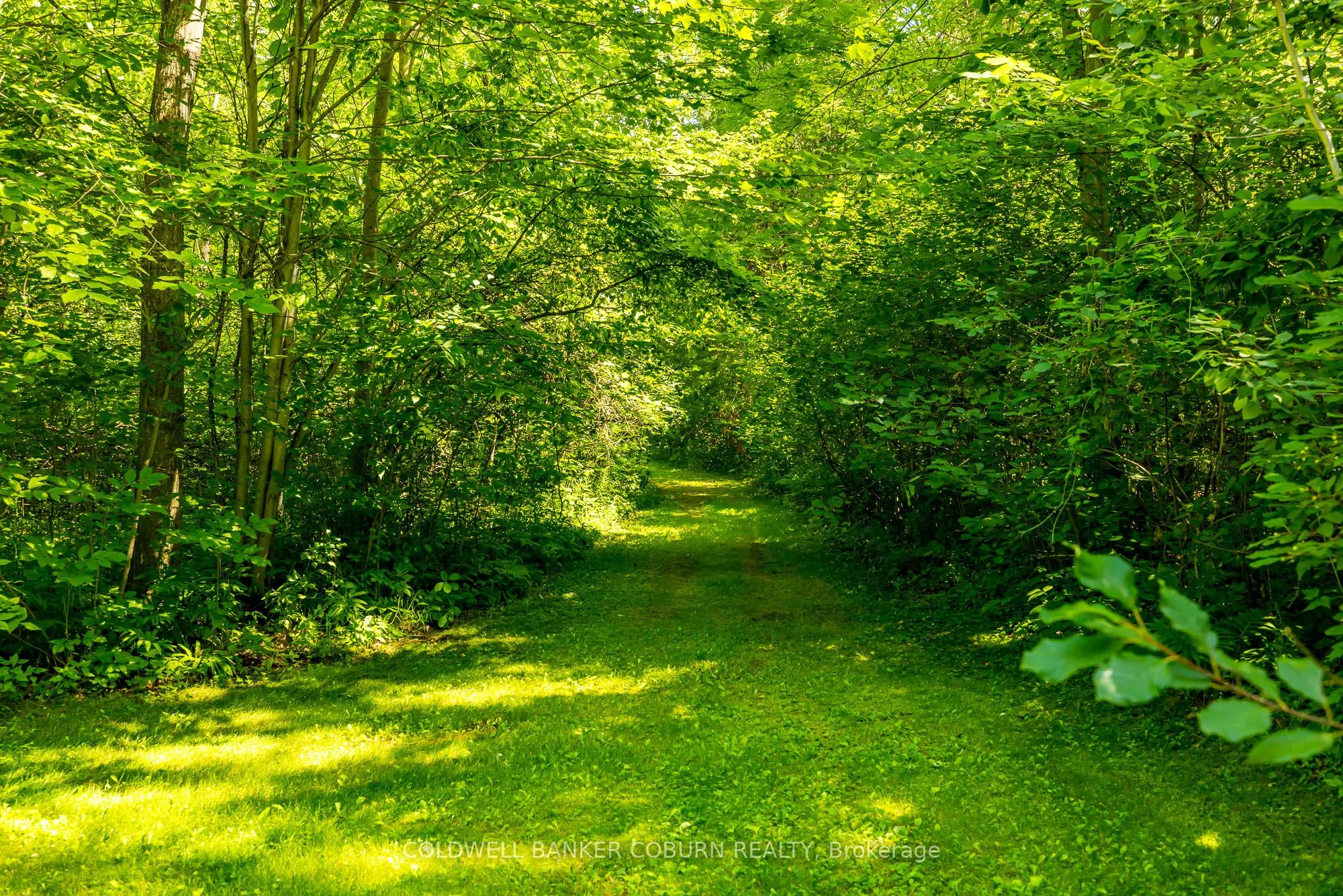 2482 Mcgee Side Road