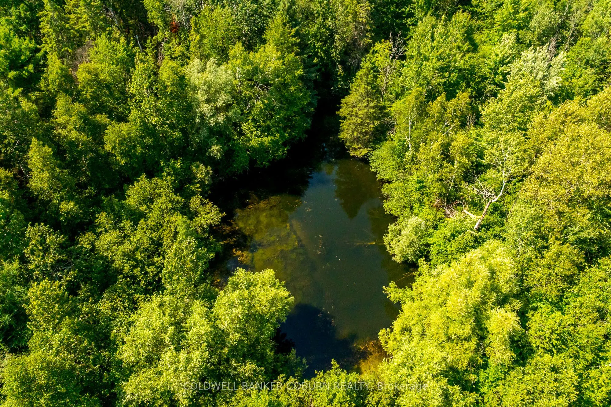 2482 Mcgee Side Road