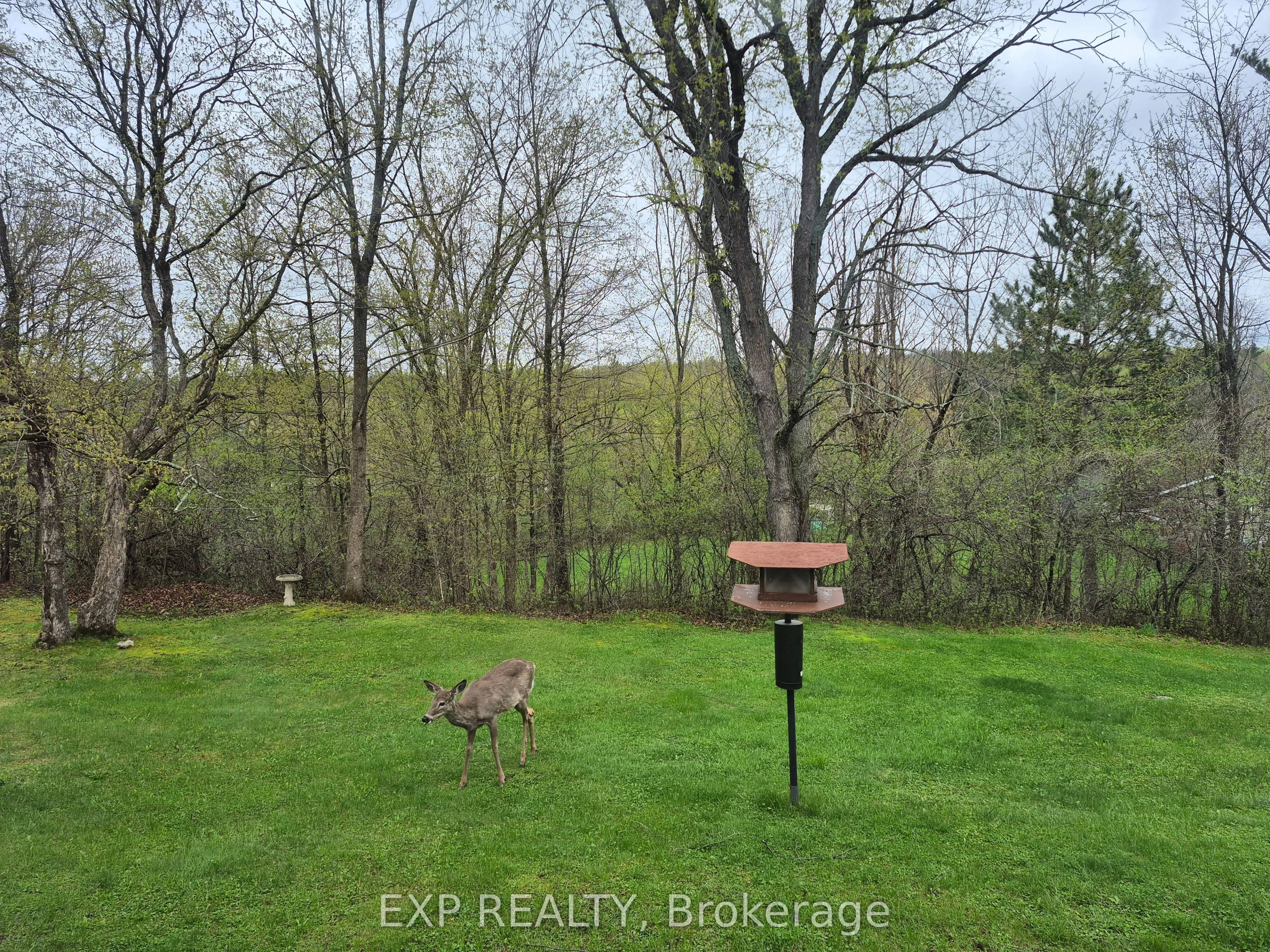 301 Opeongo Road