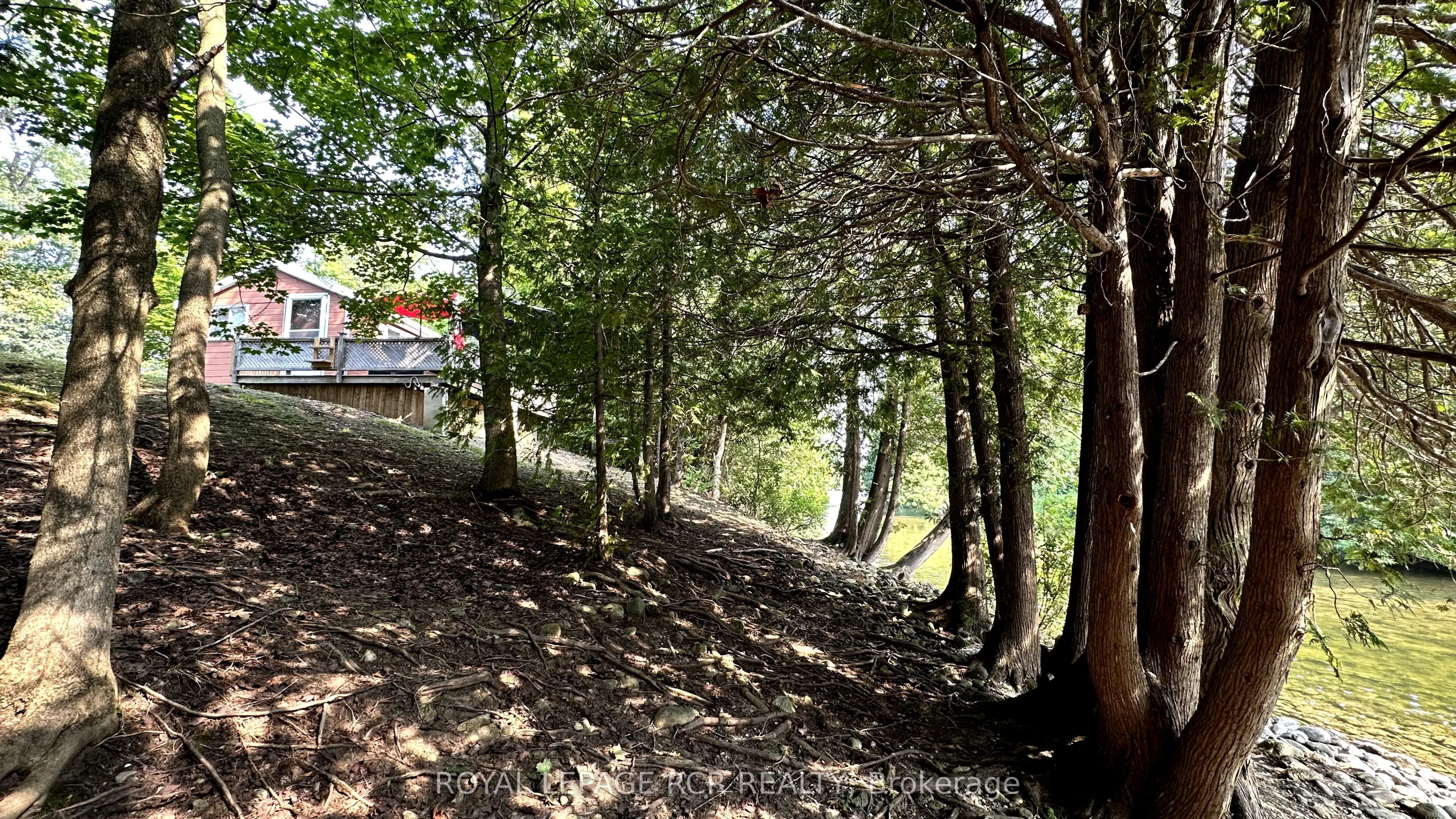 133873 Allan Park Road