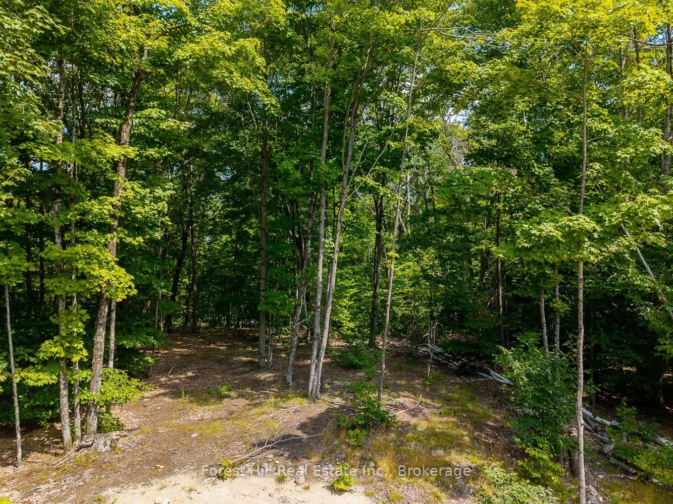 1028 Bruce Lake Drive