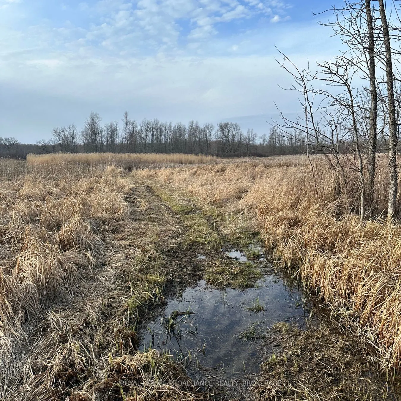 68 3rd CONCESSION Road