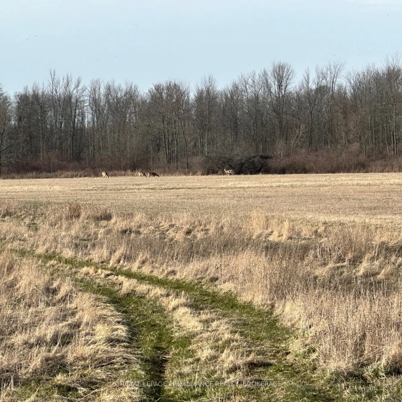68 3rd CONCESSION Road