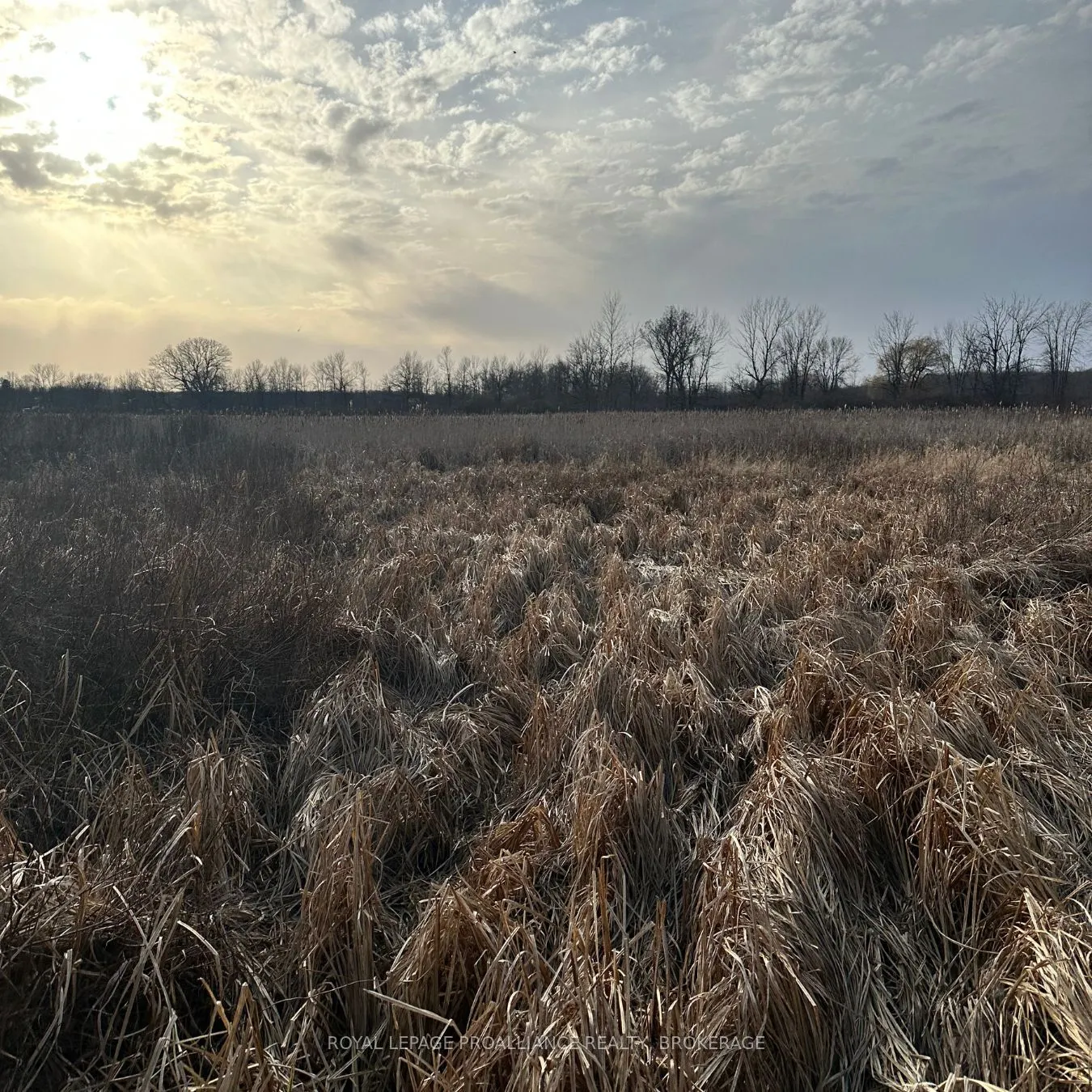 68 3rd CONCESSION Road