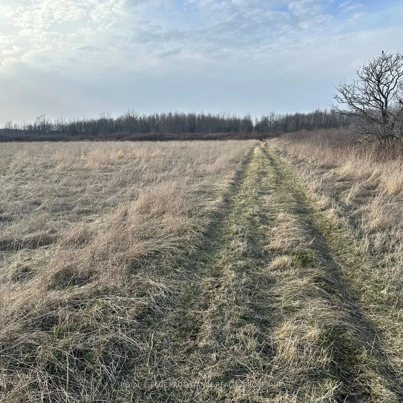 68 3rd CONCESSION Road