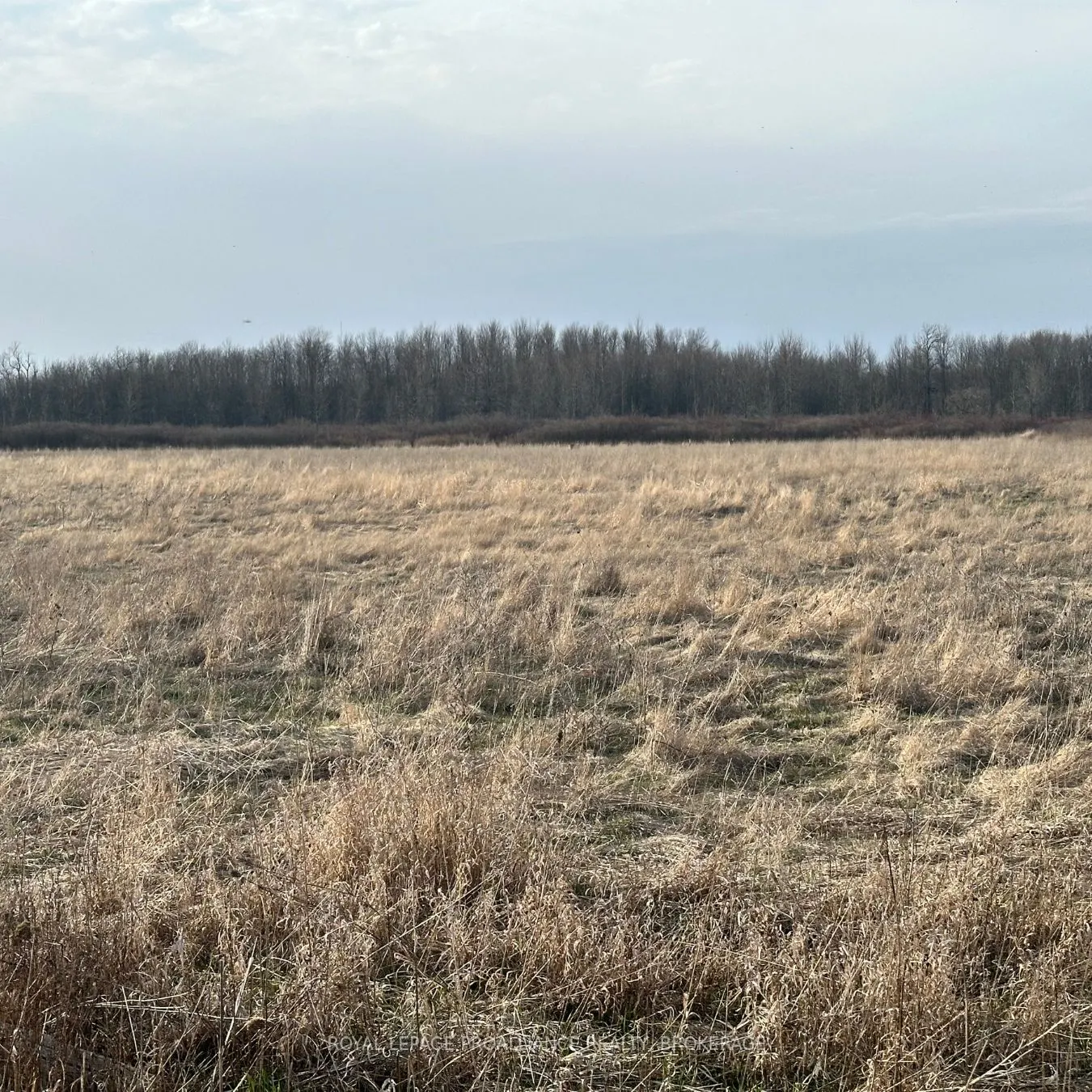 68 3rd CONCESSION Road