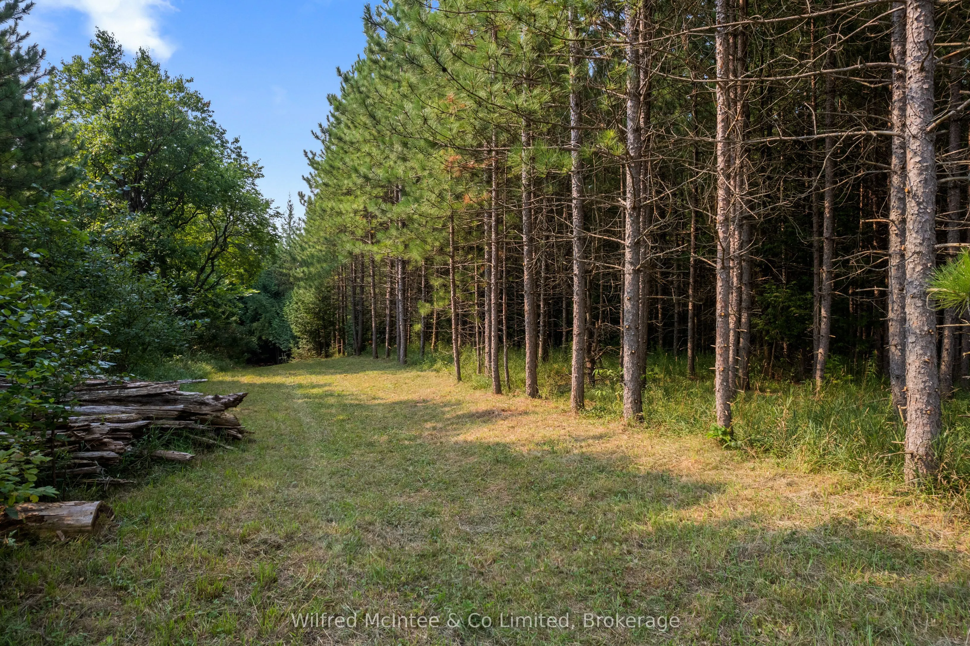 574461 SIDEROAD 40