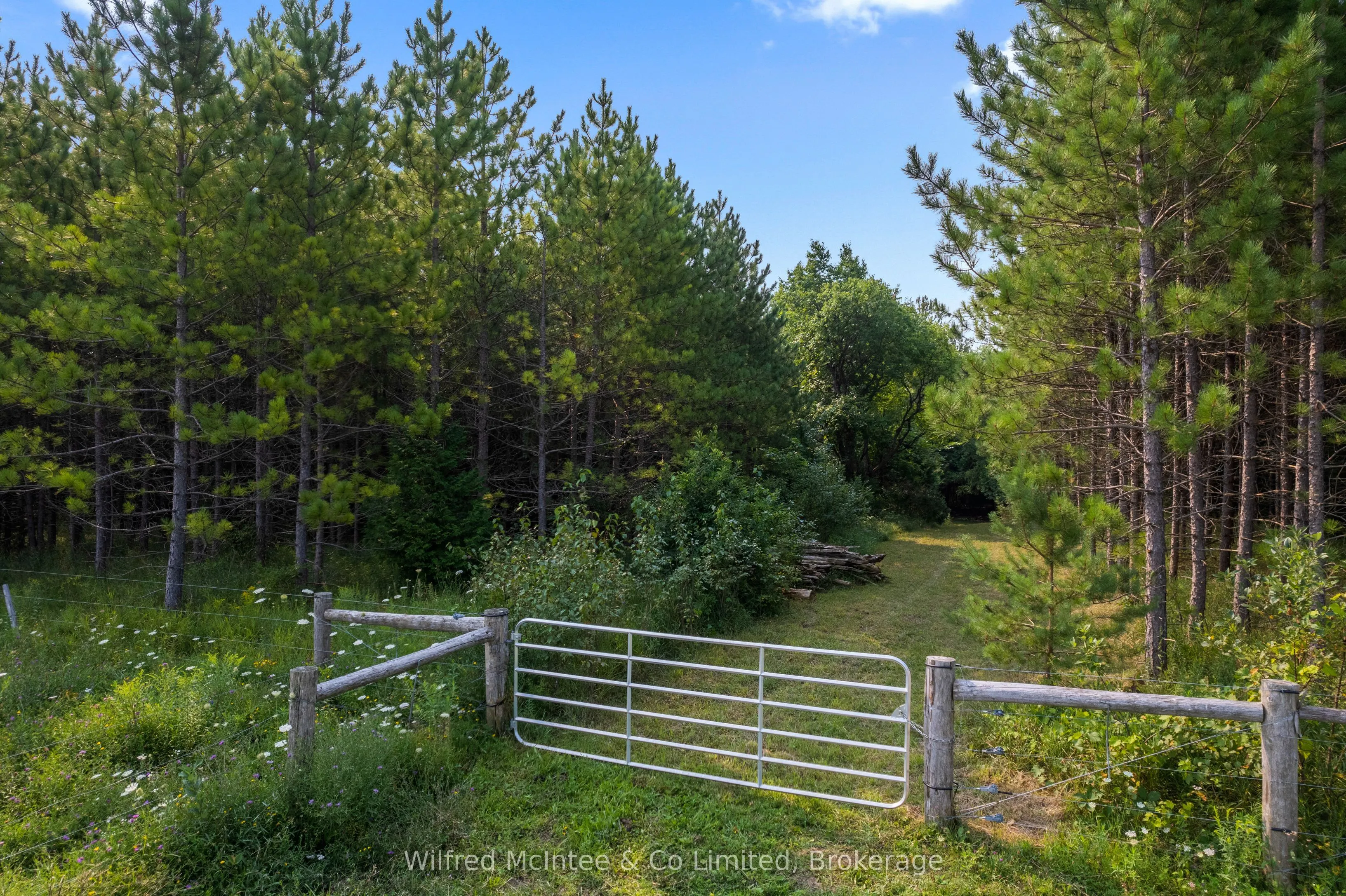 574461 SIDEROAD 40