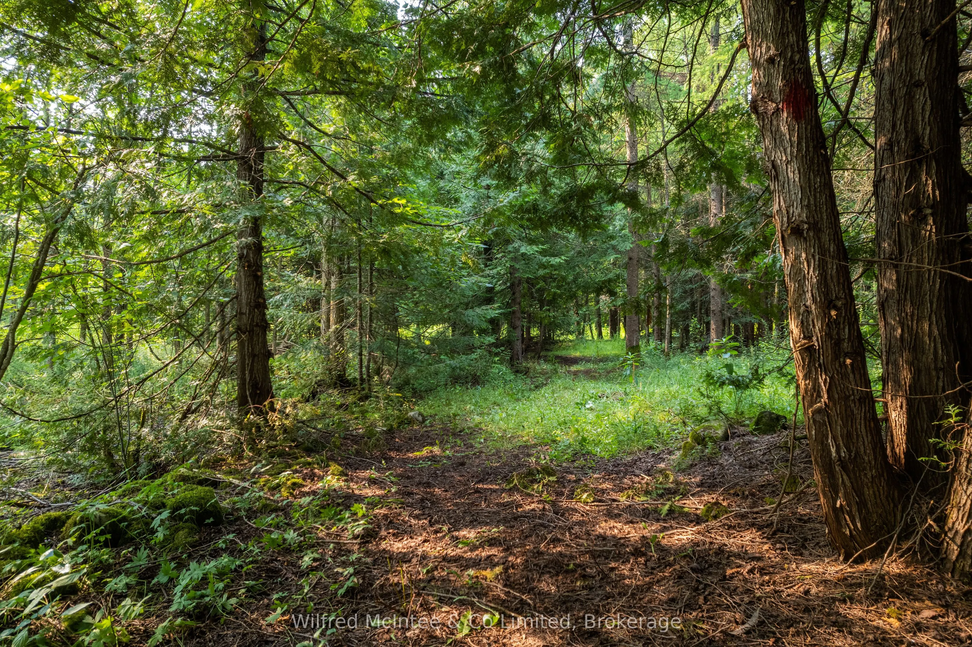 574461 SIDEROAD 40