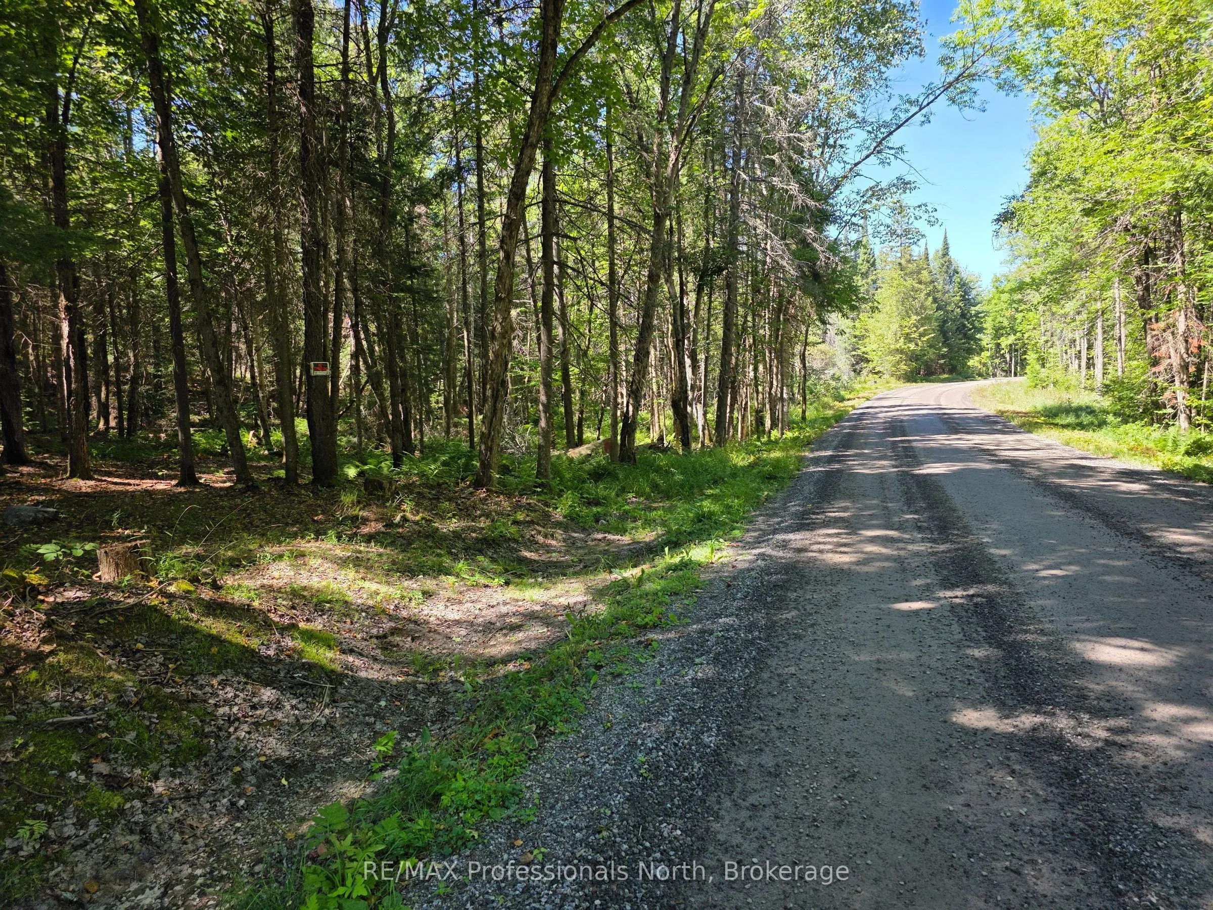 00 Whitney Road