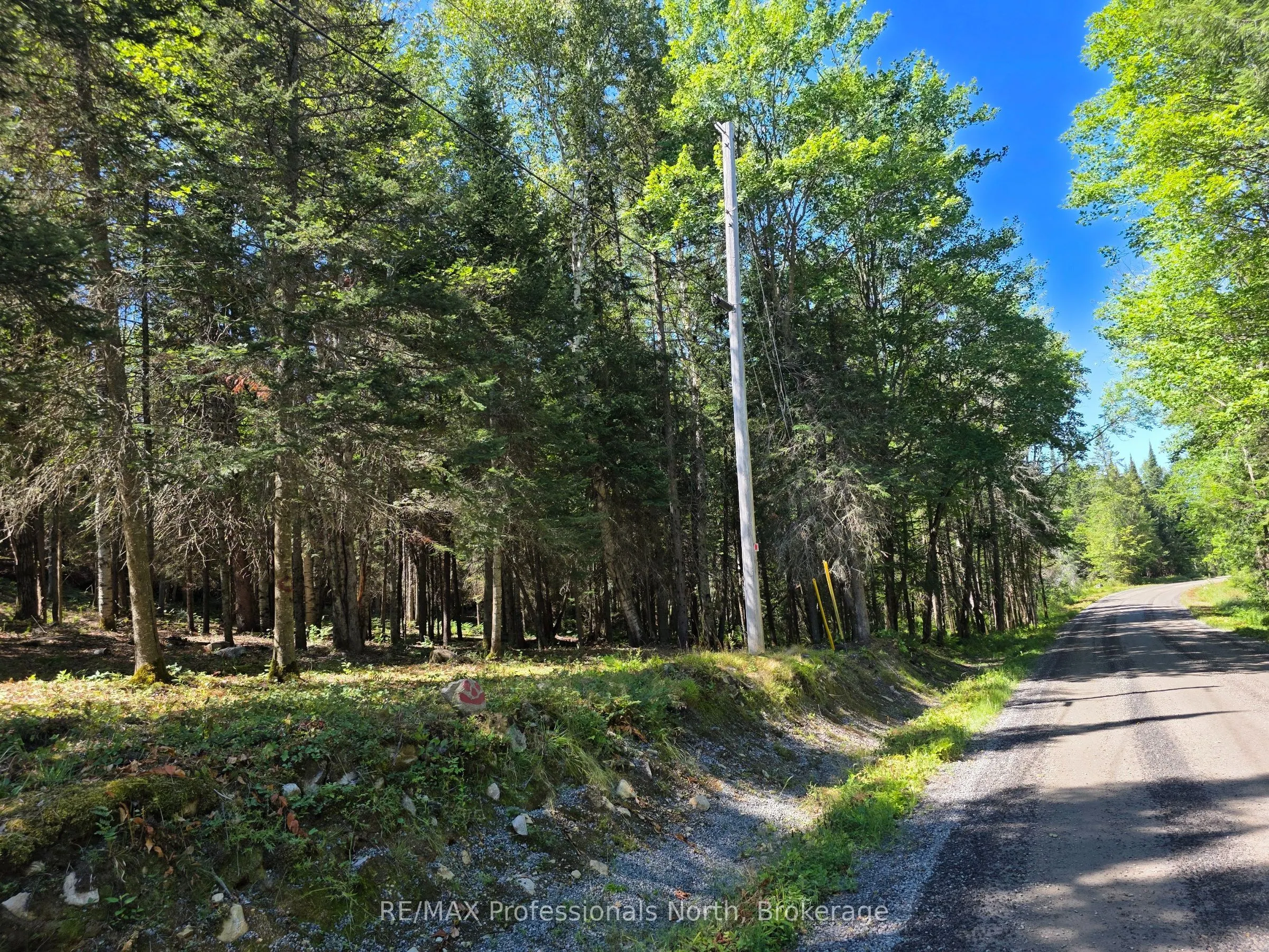 00 Whitney Road