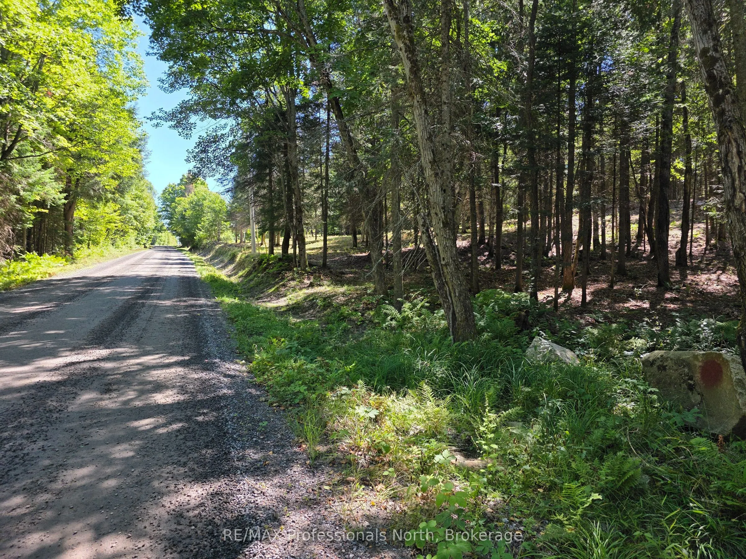 00 Whitney Road