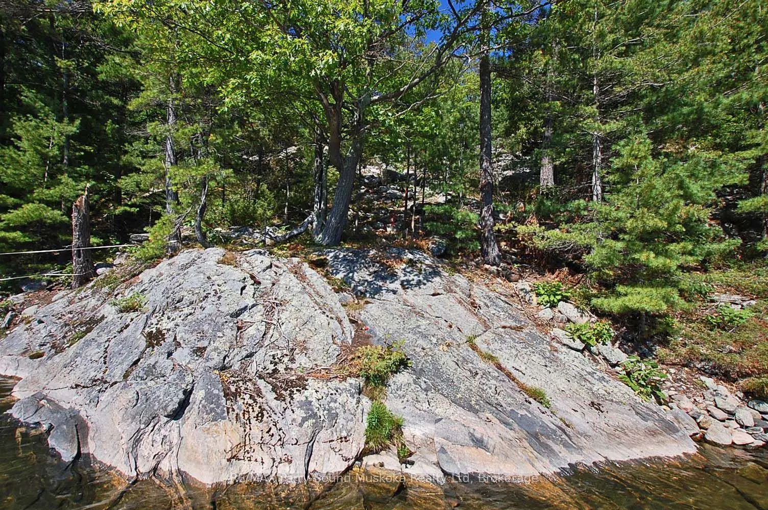 52B Rose Island
