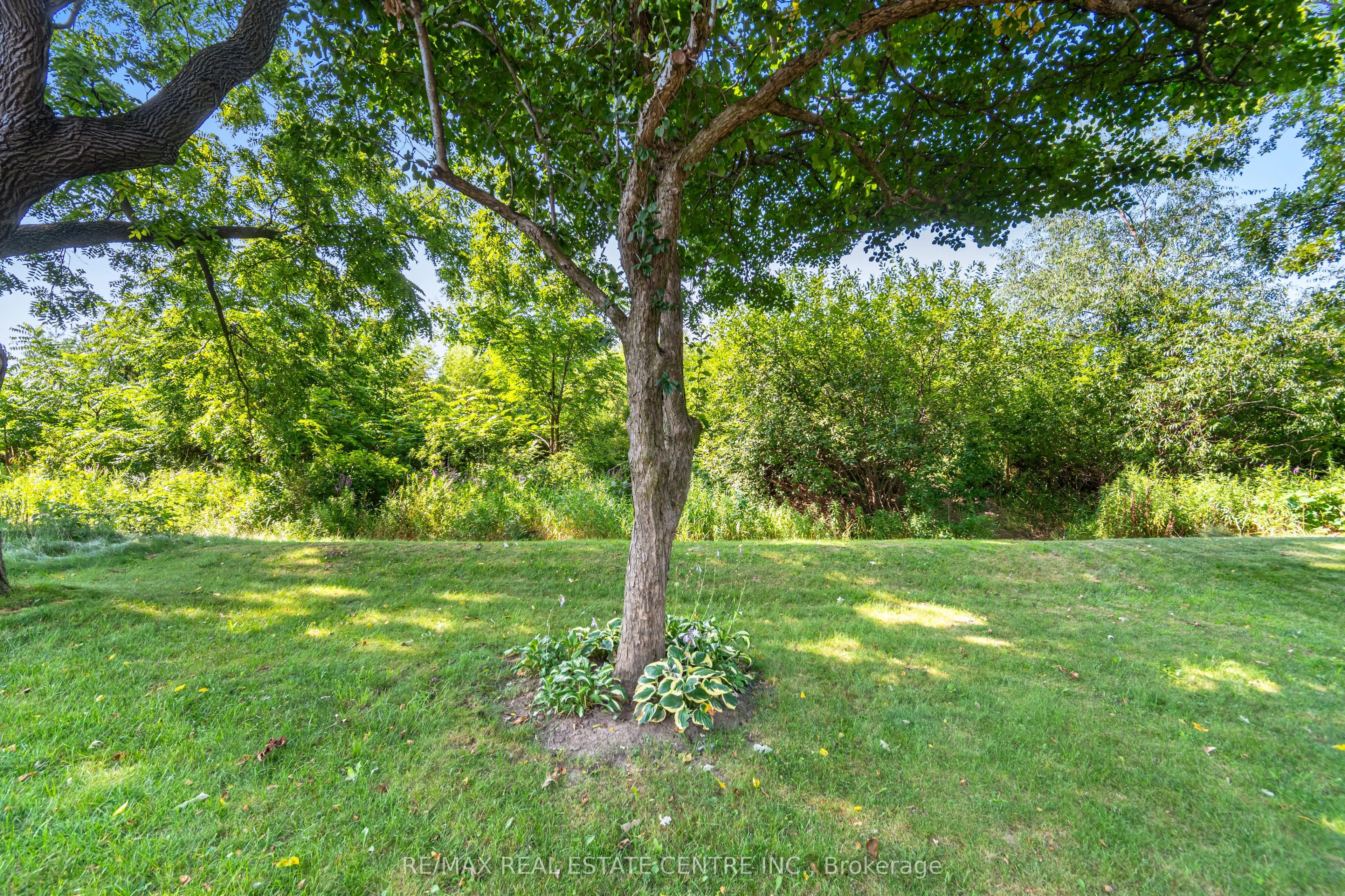 35 Pantano Drive
