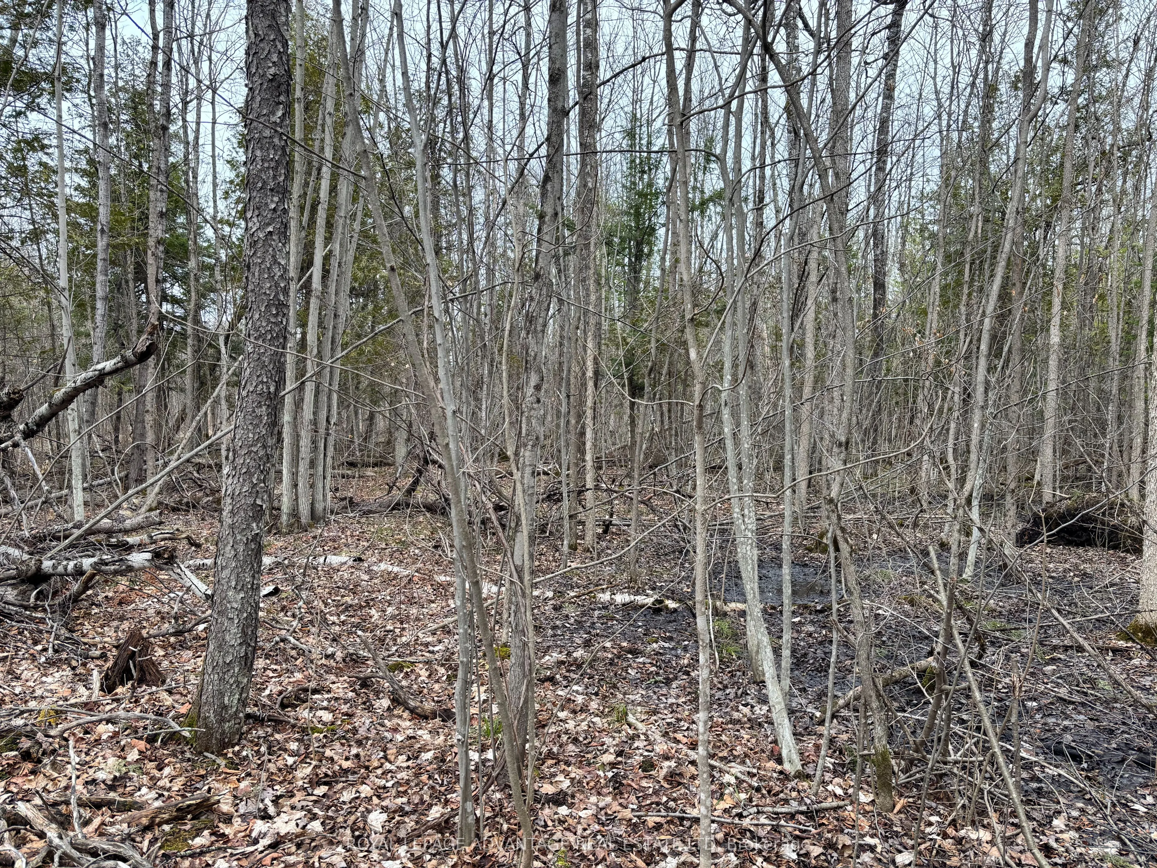 0 Dixon Road