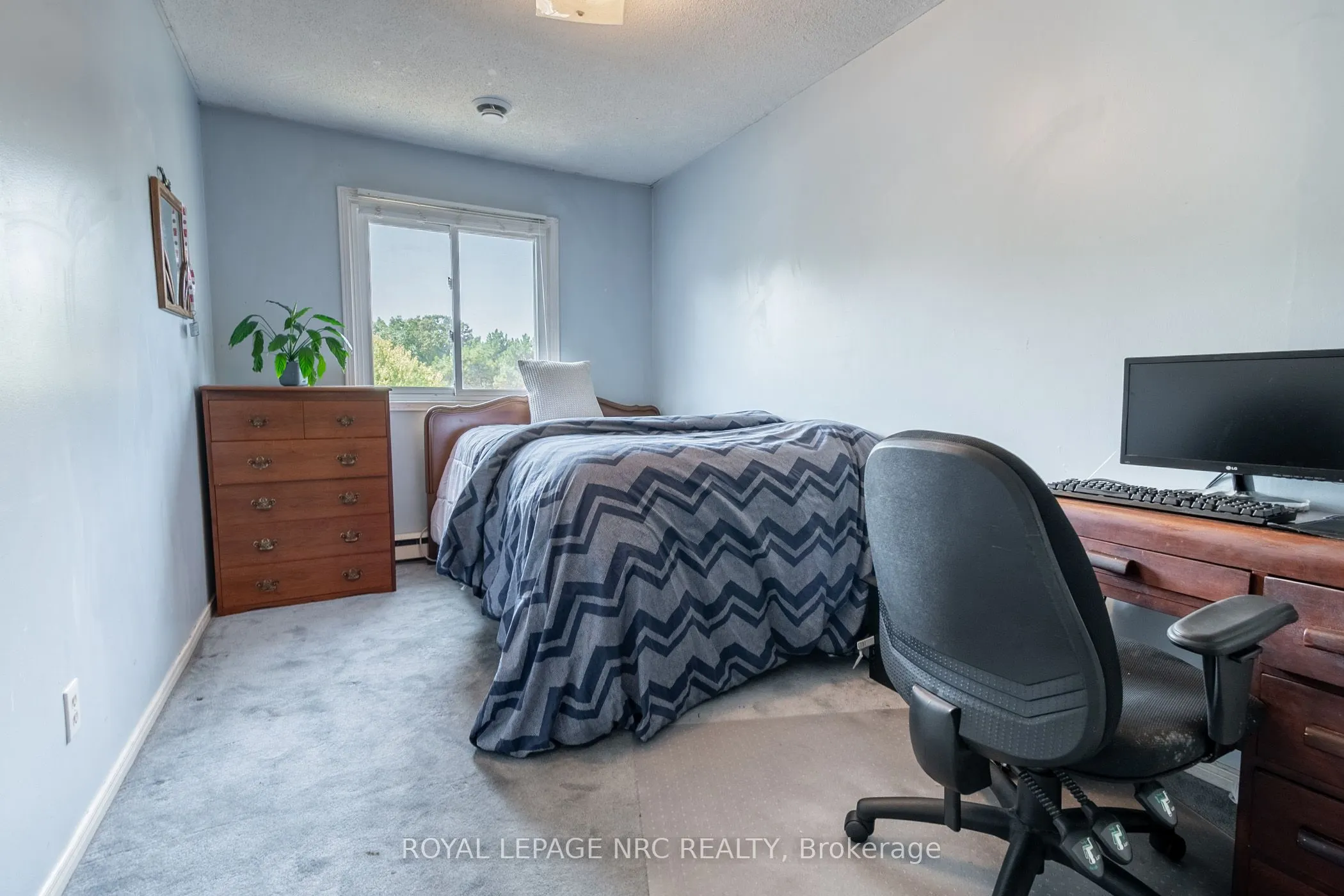 38 Elma Street, #4