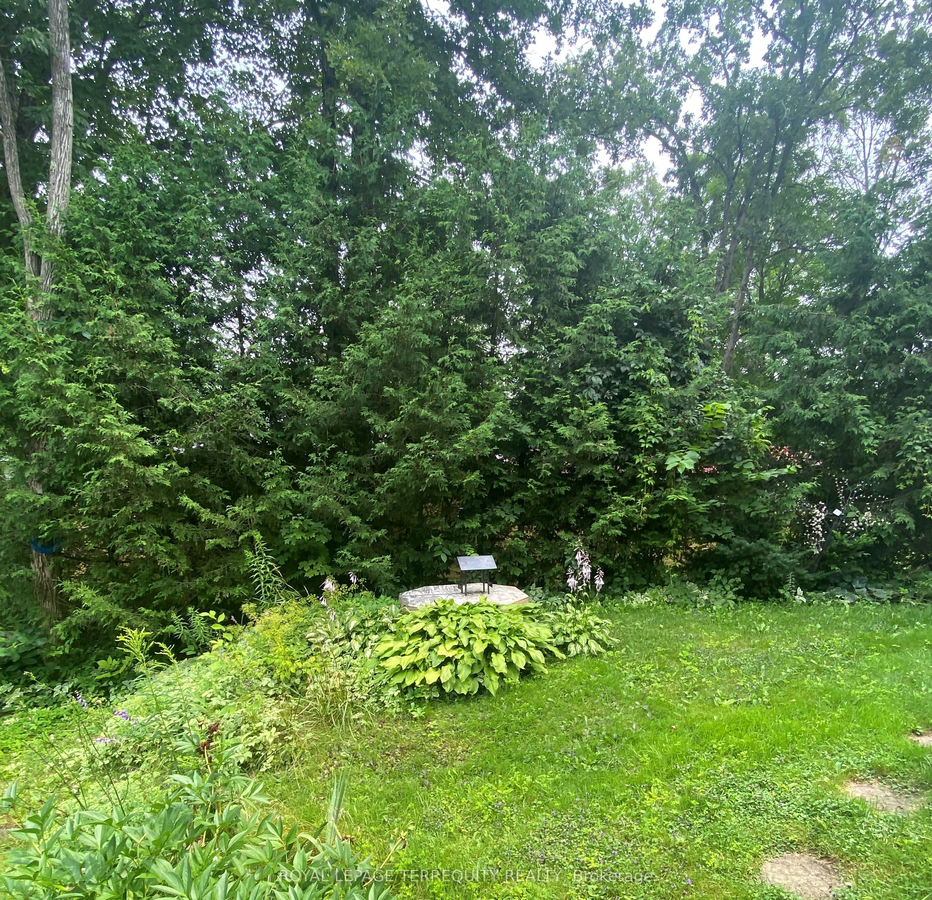 67 CEDAR Lane
