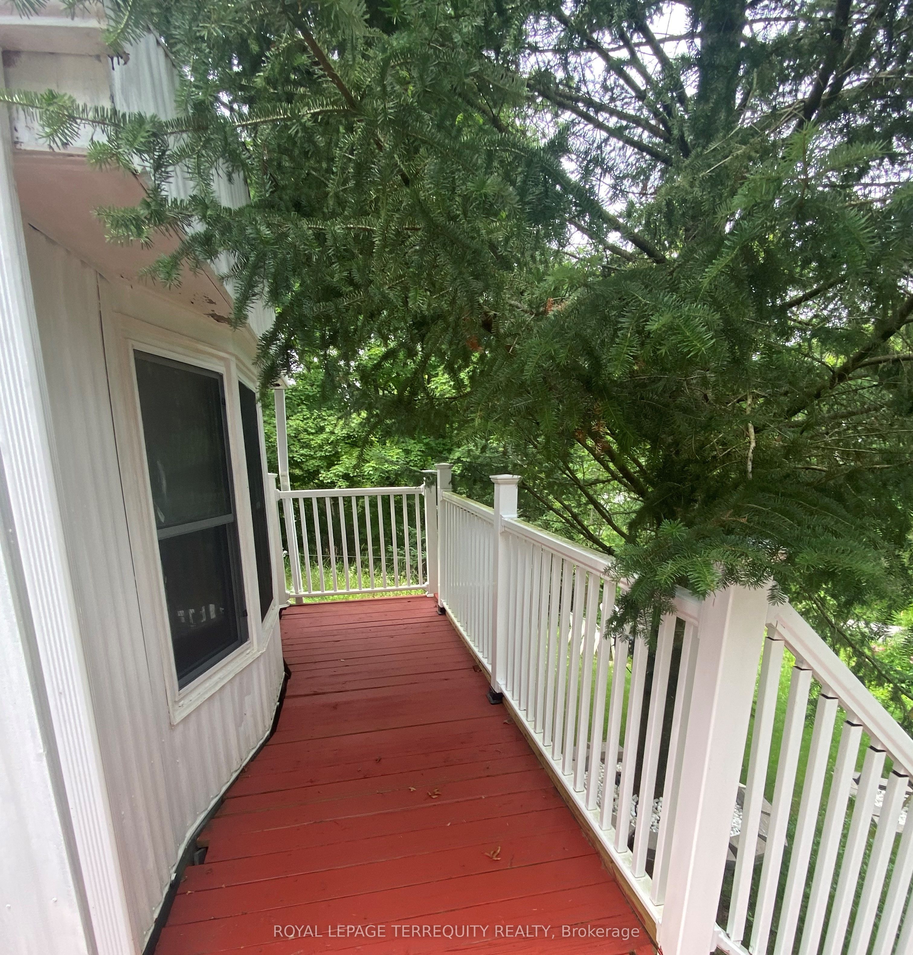 67 CEDAR Lane
