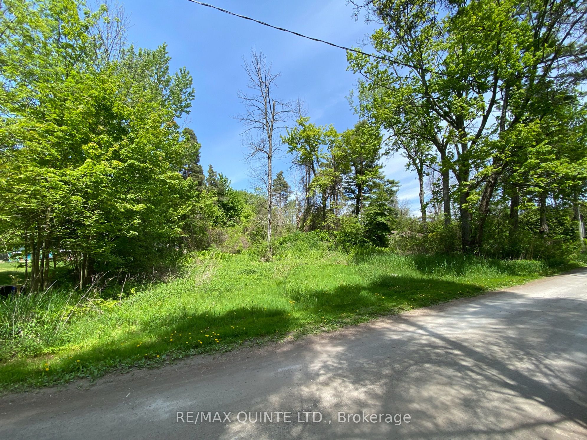 149 Evergreen Lane