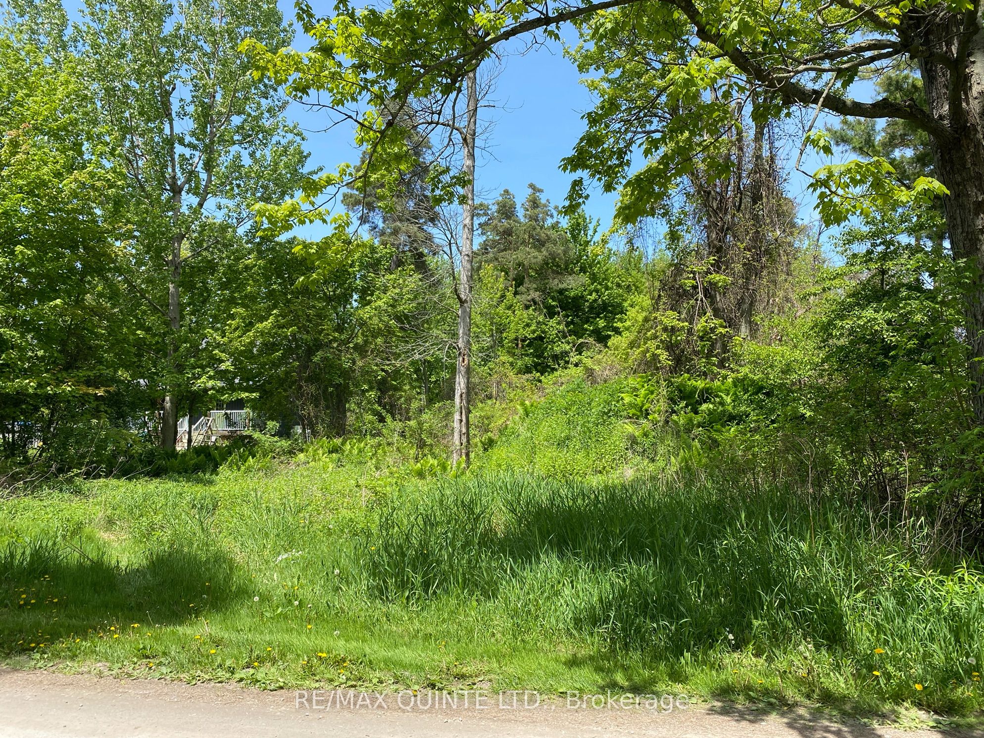 149 Evergreen Lane