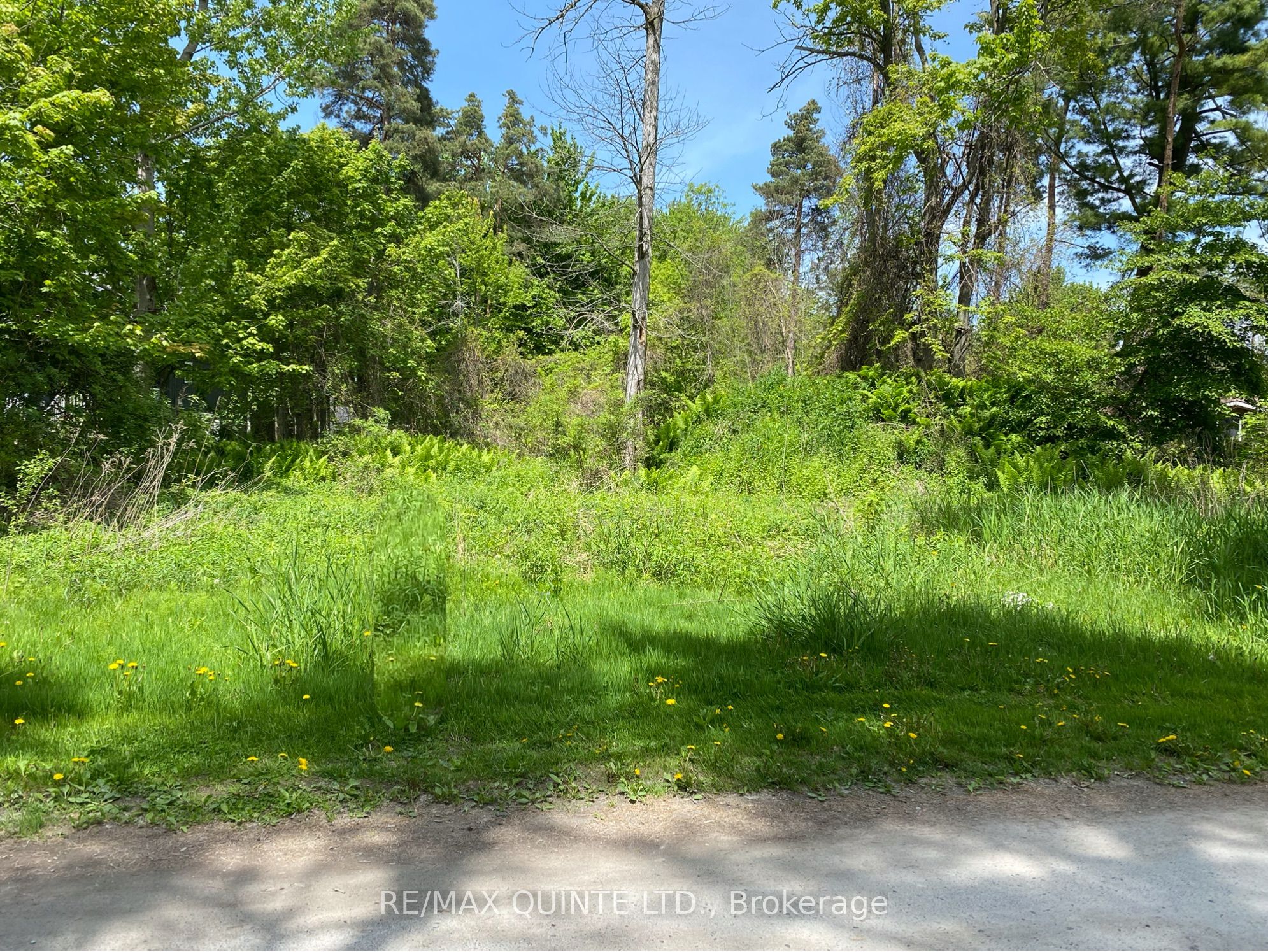 149 Evergreen Lane