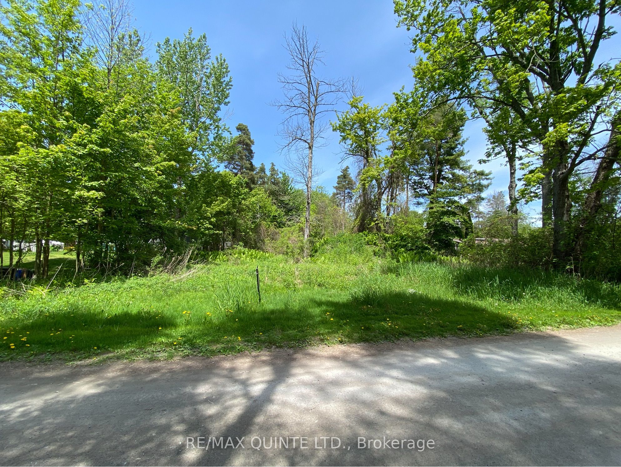 149 Evergreen Lane