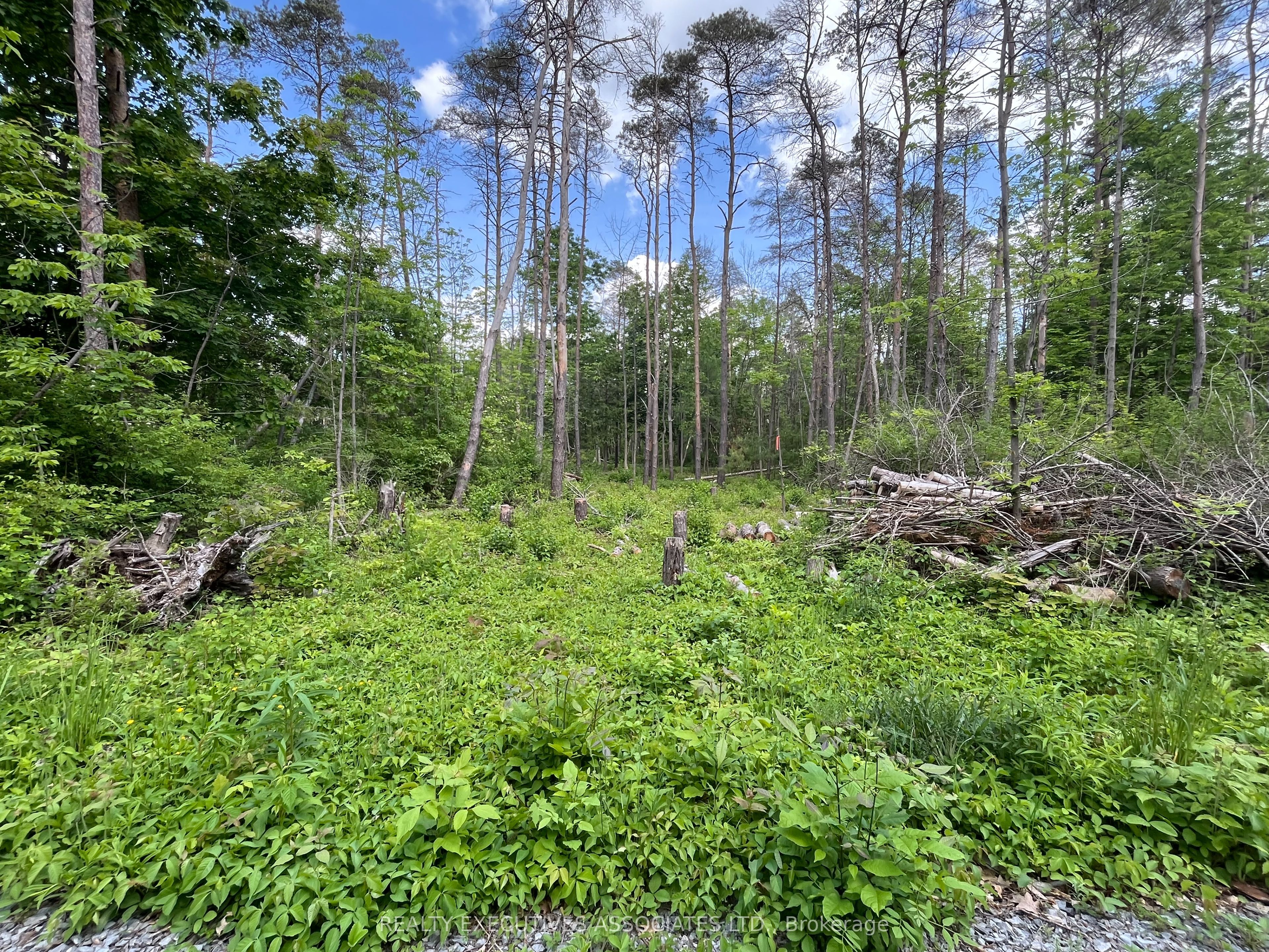 6192 County Rd 50