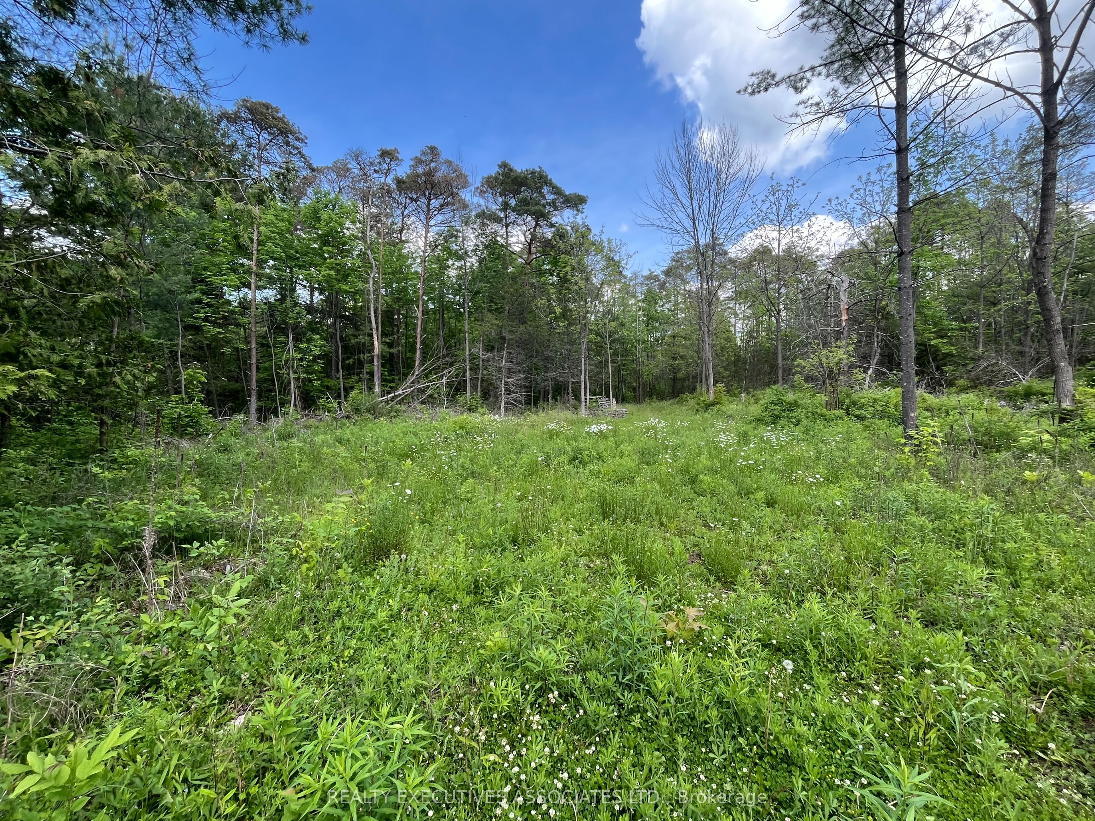 6192 County Rd 50