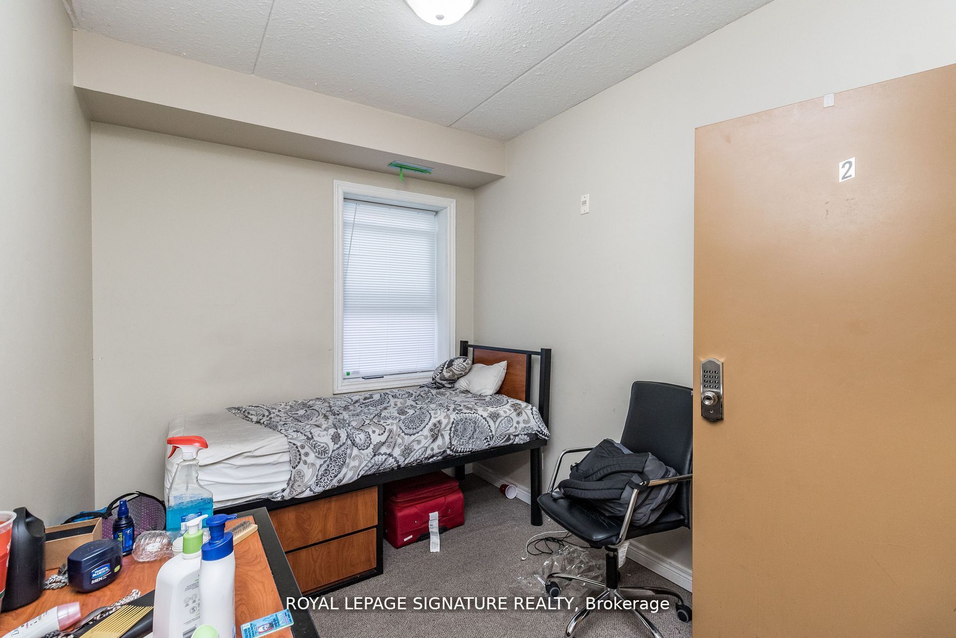 253 Lester Street, #101