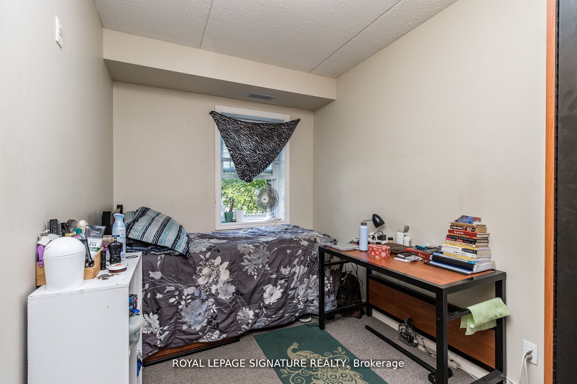 253 Lester Street, #101
