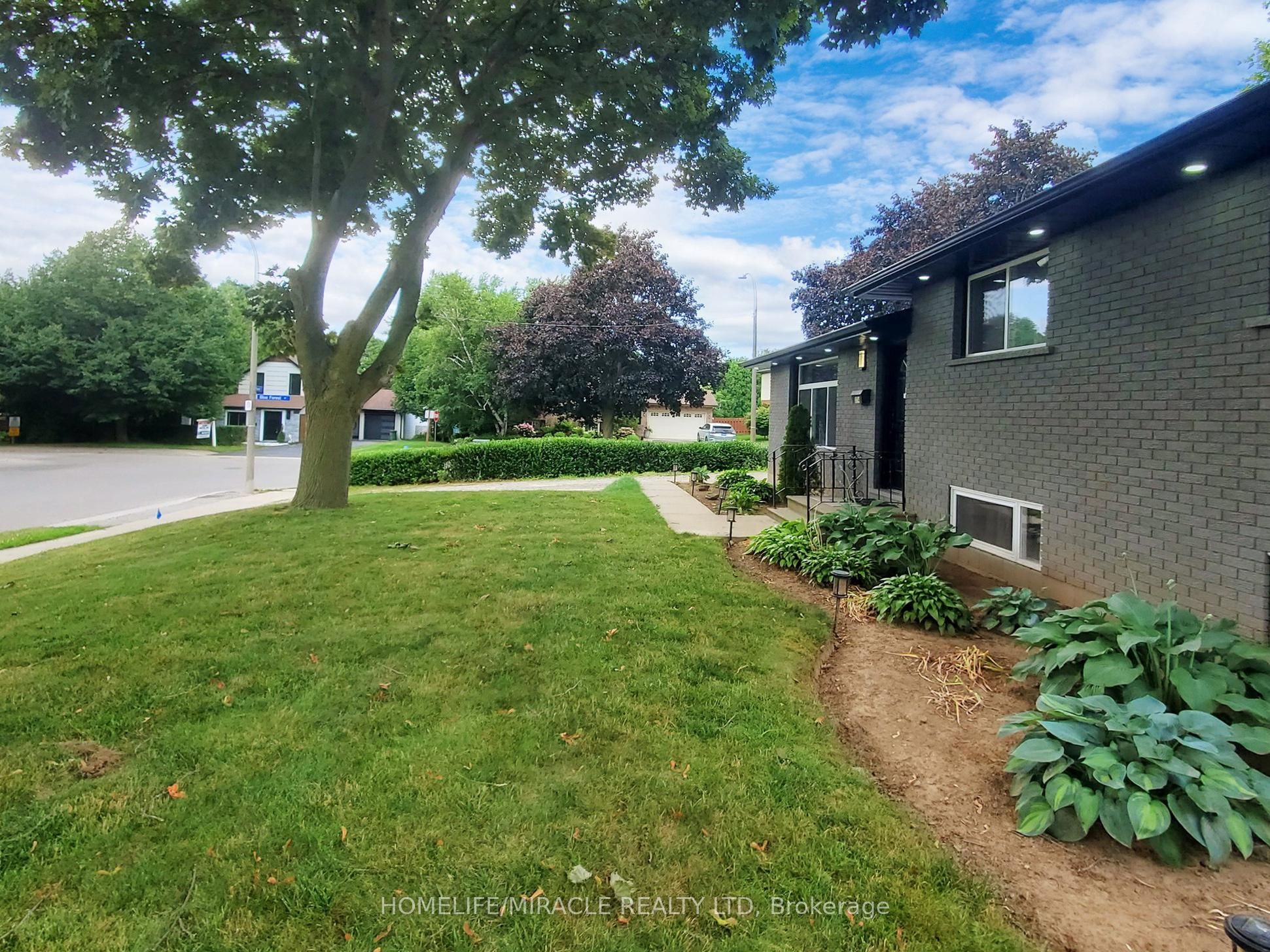 374 Book Road