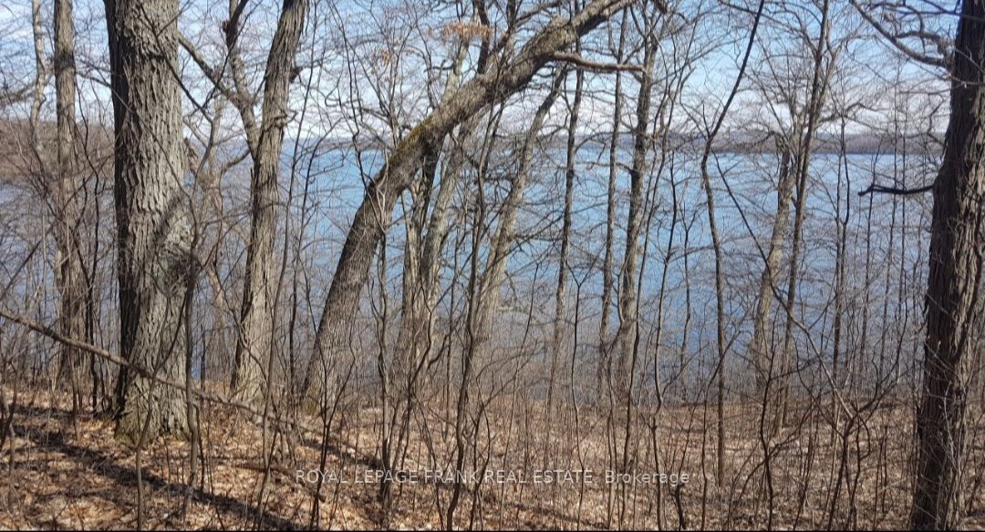 110 Cow Island