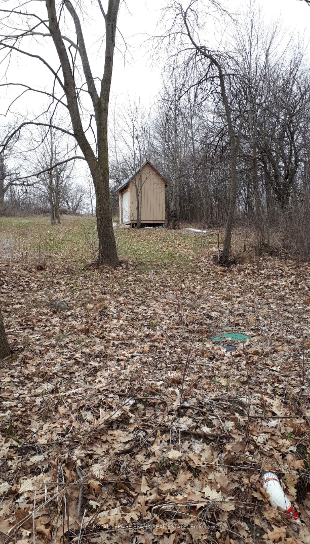 110 Cow Island