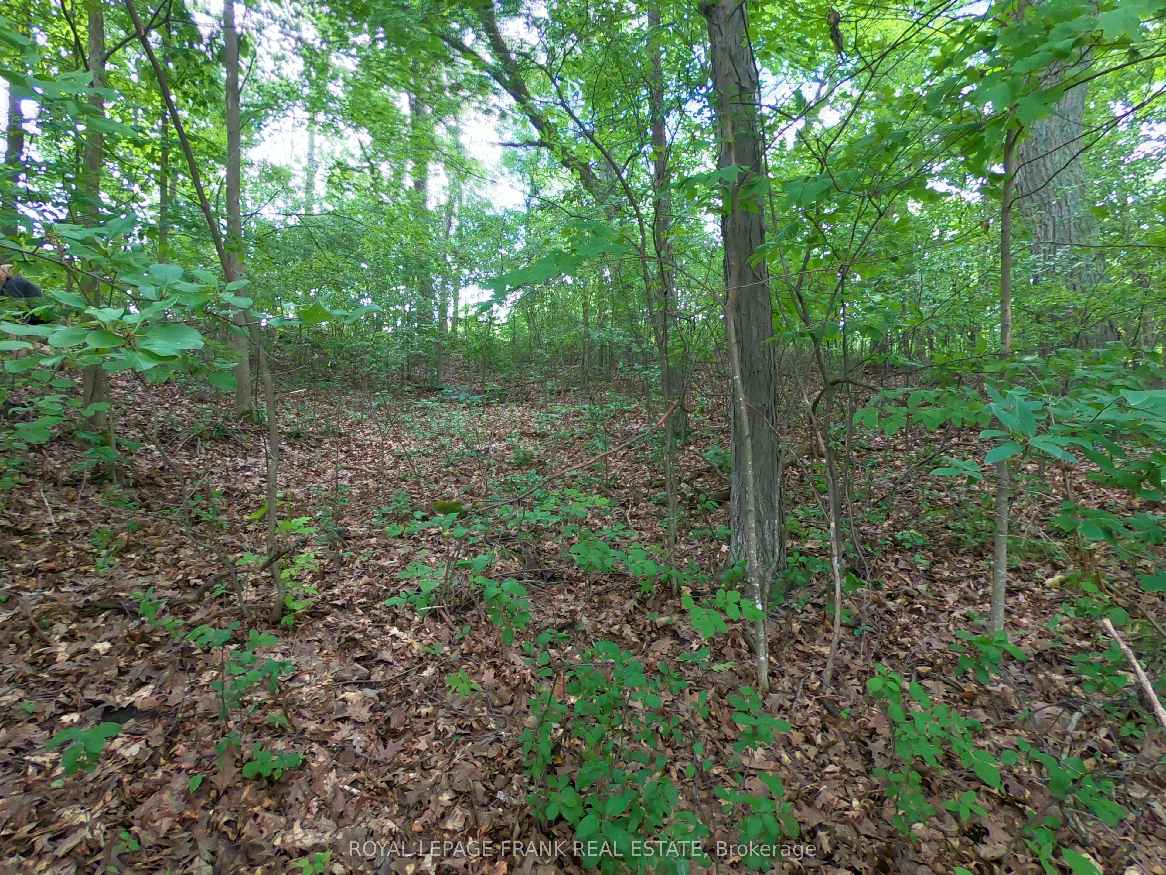 110 Cow Island