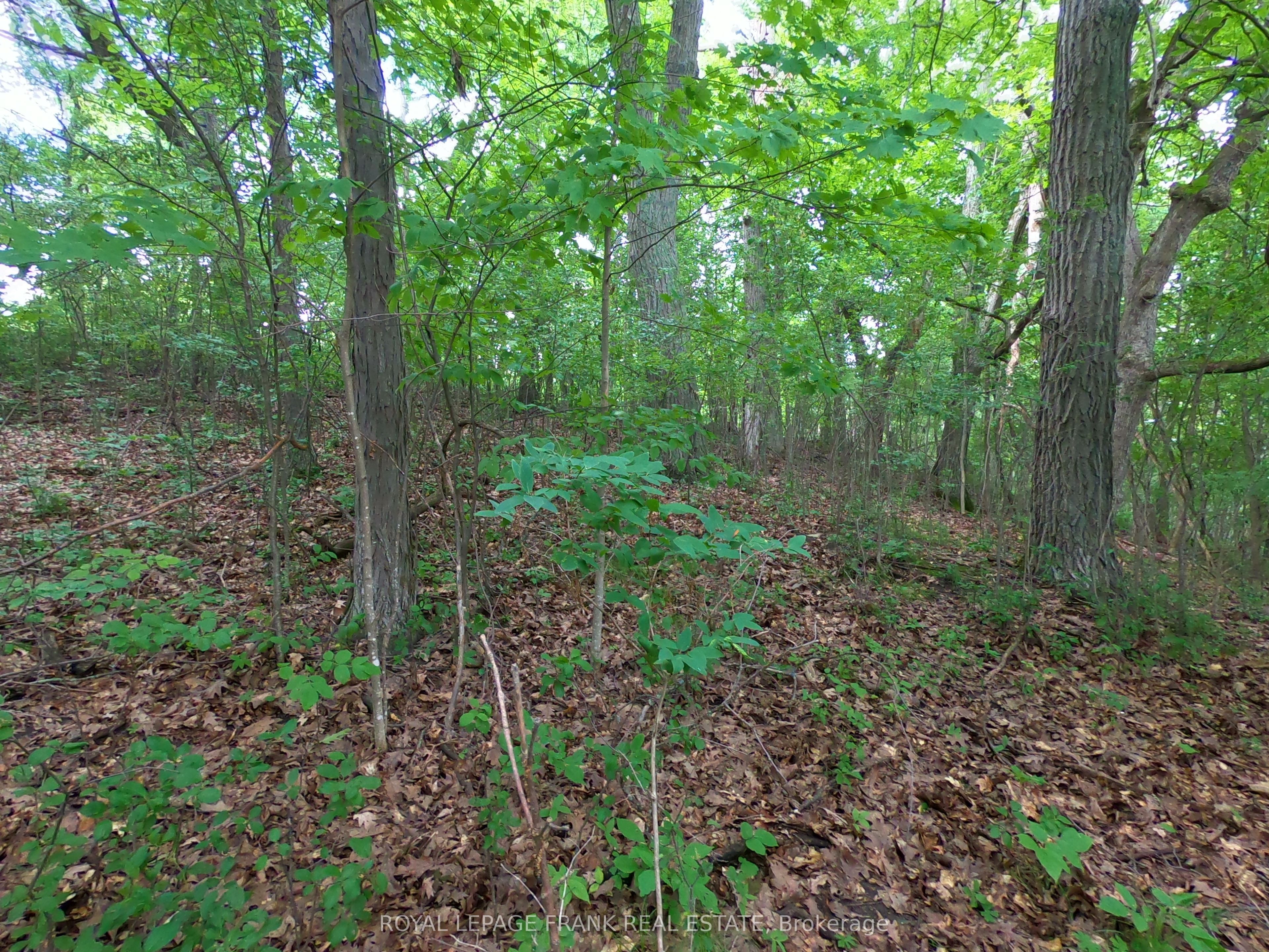 110 Cow Island