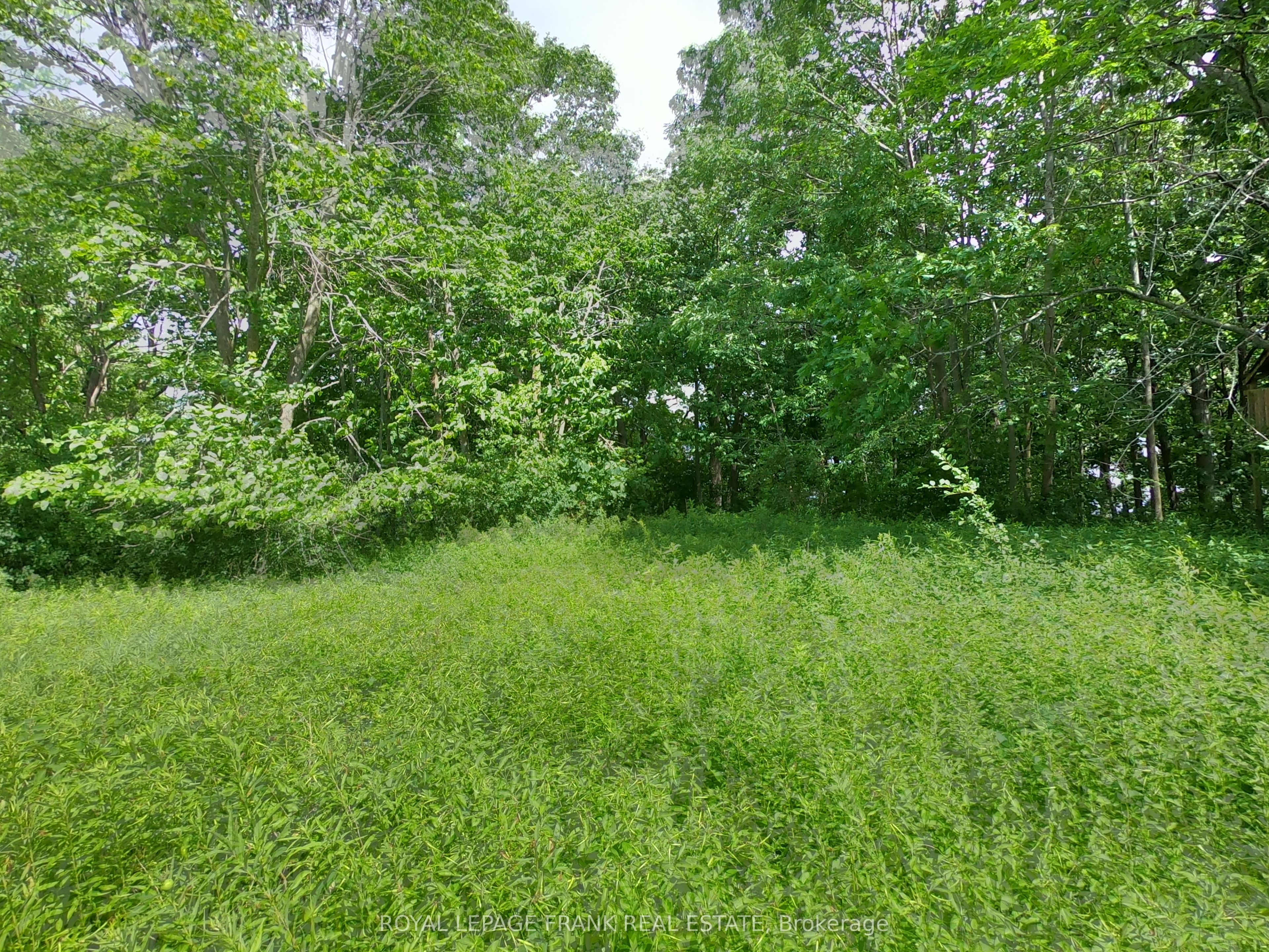 110 Cow Island