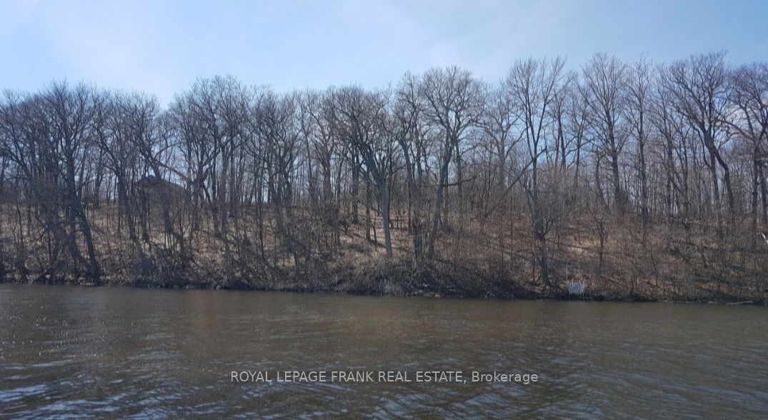 110 Cow Island