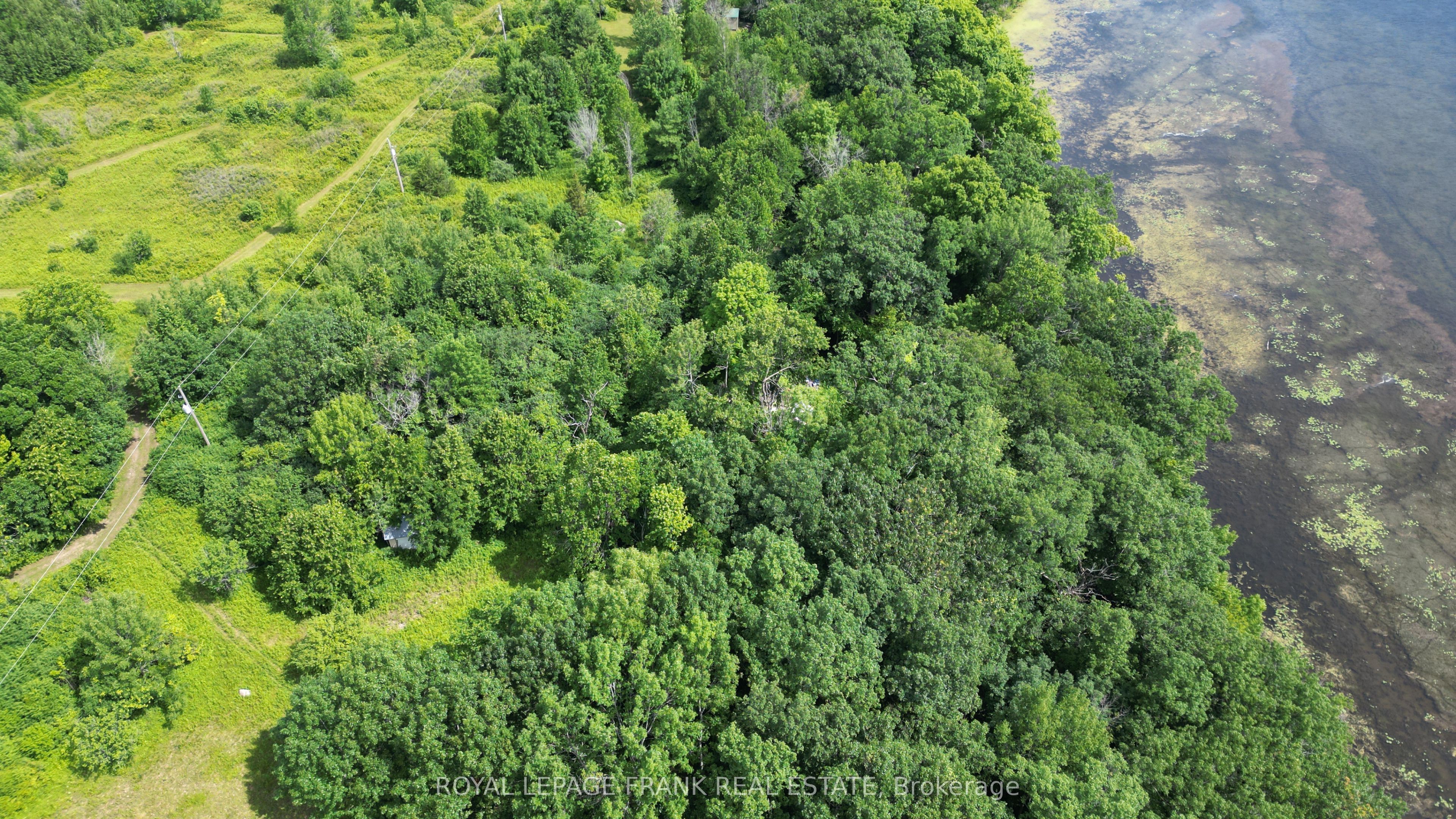 110 Cow Island