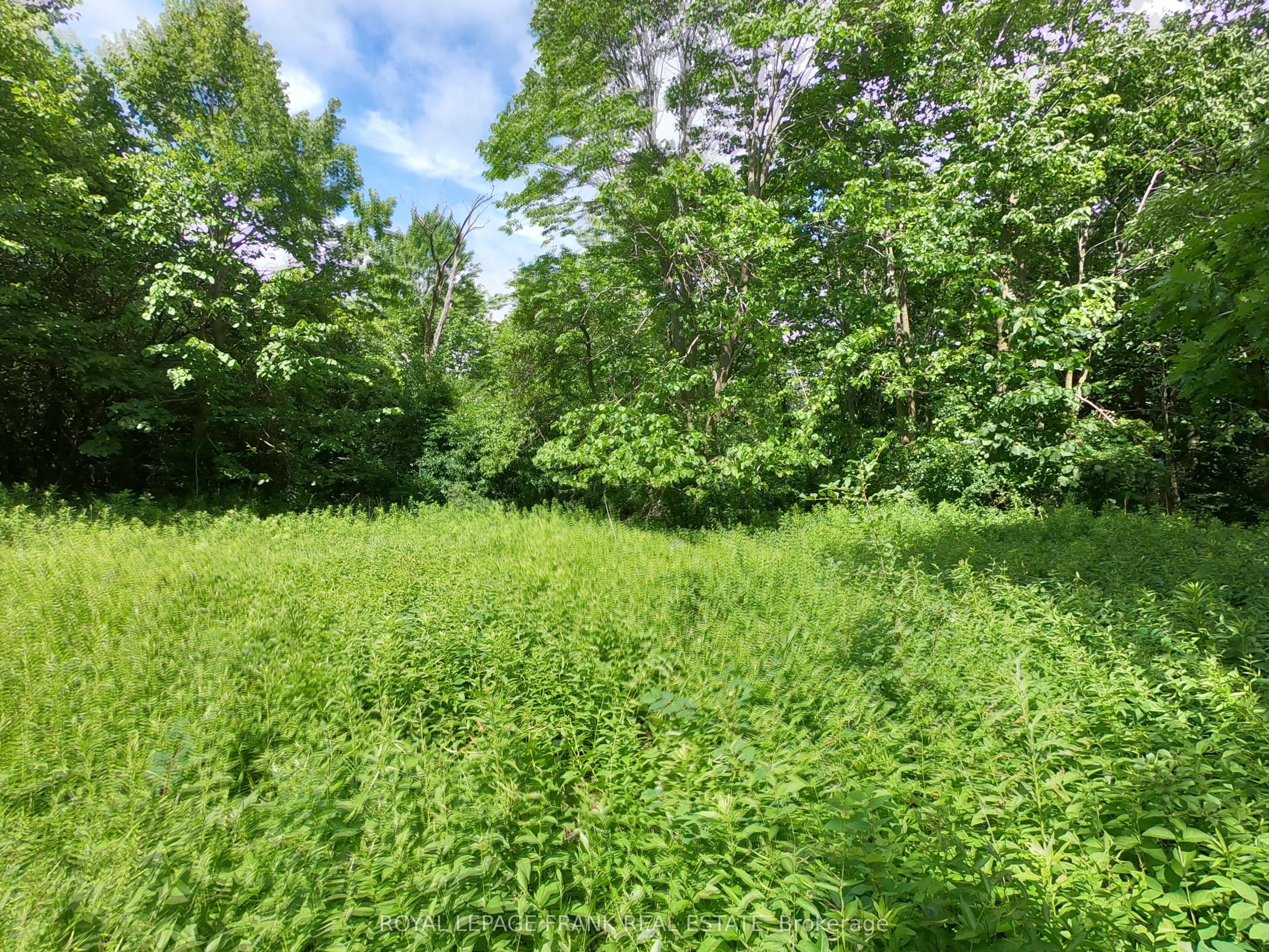 110 Cow Island