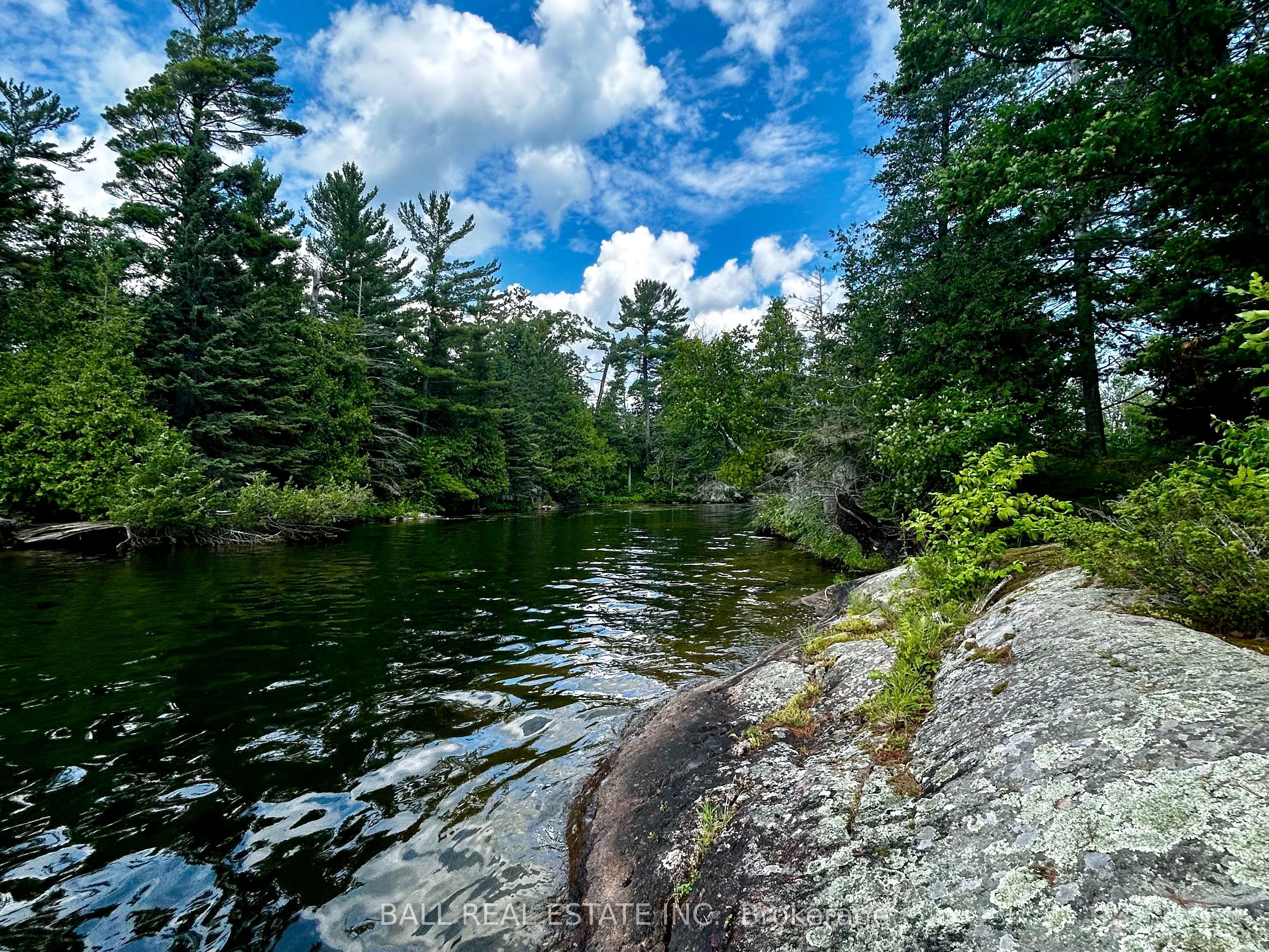 2295 Stony Lake Isl 17