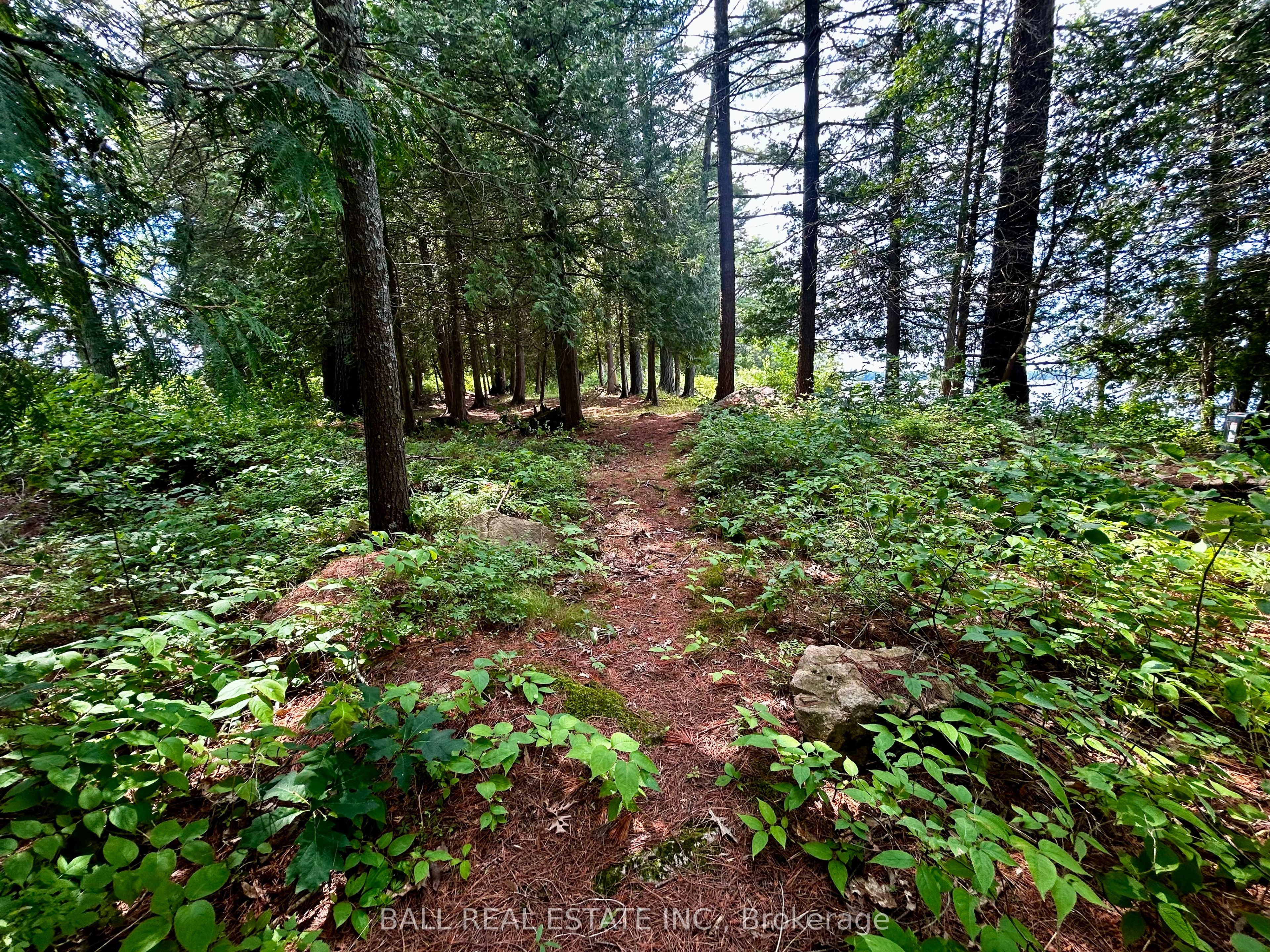 2295 Stony Lake Isl 17