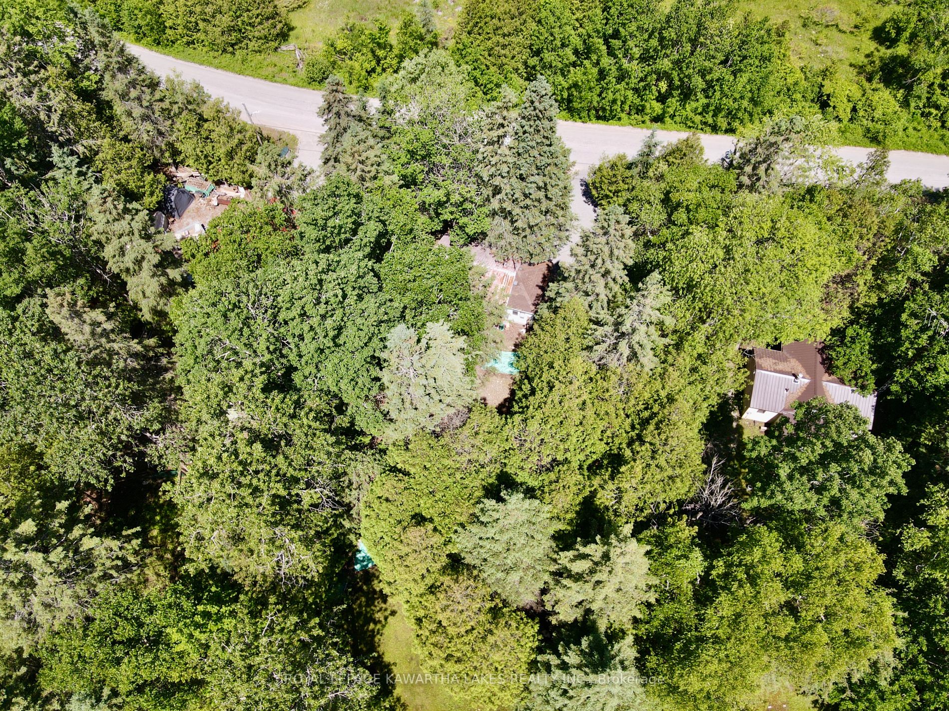 81 McGuire Beach Road