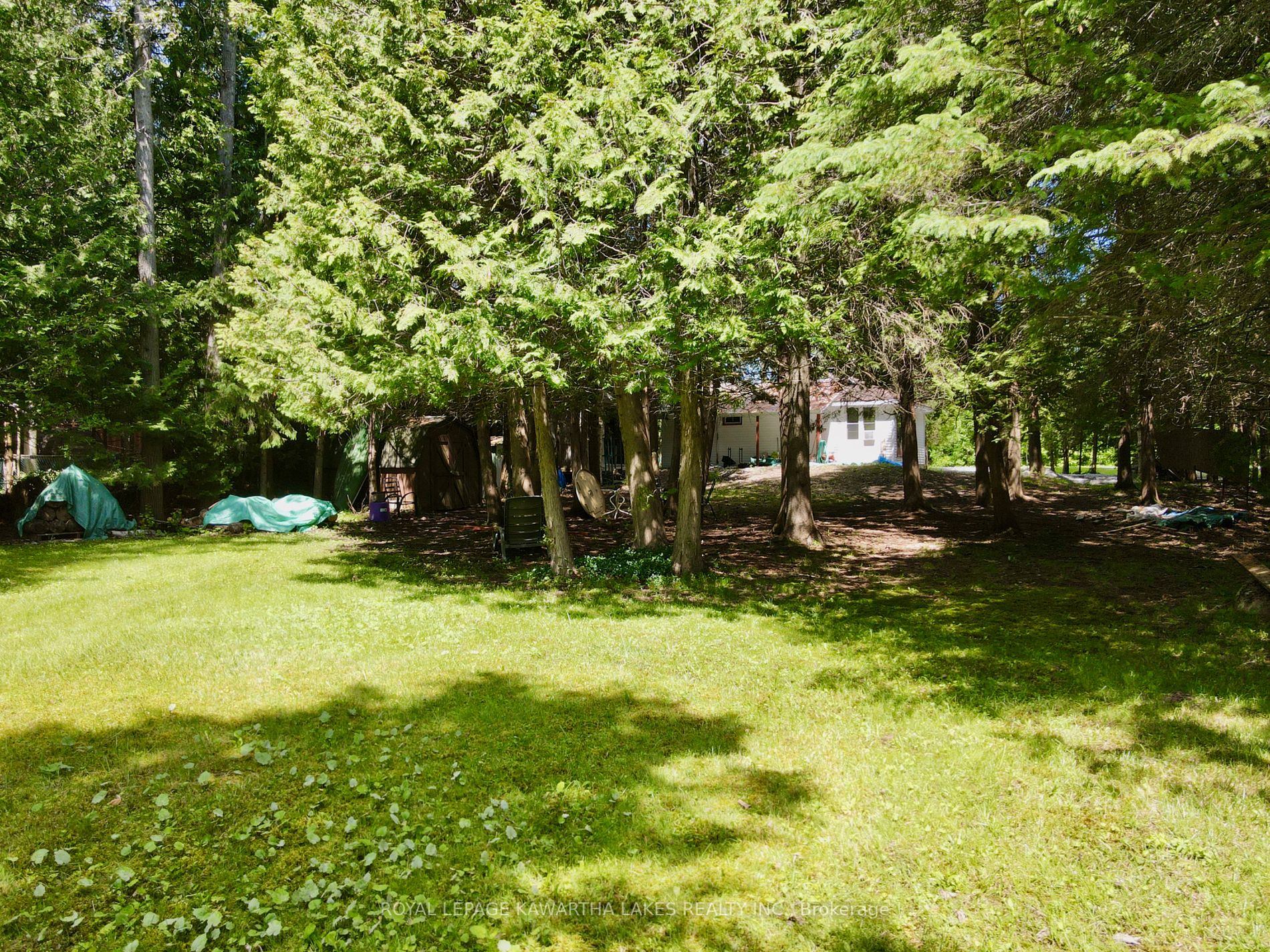 81 McGuire Beach Road
